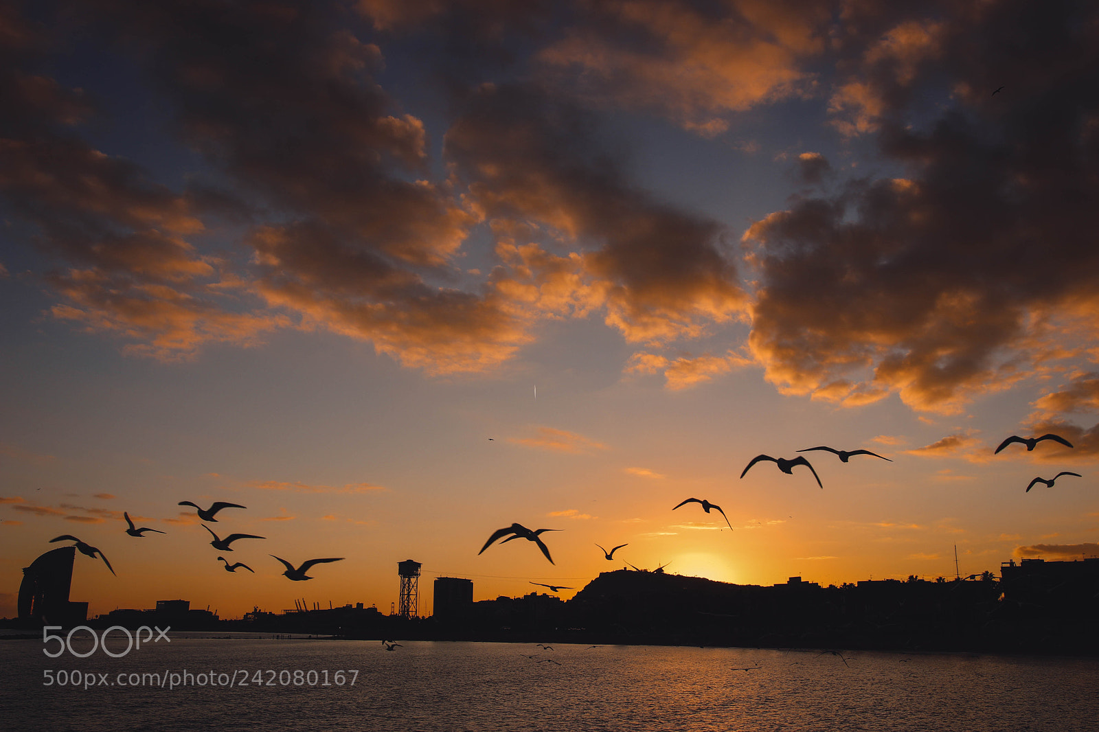 Canon EOS 77D (EOS 9000D / EOS 770D) sample photo. Learning to fly photography