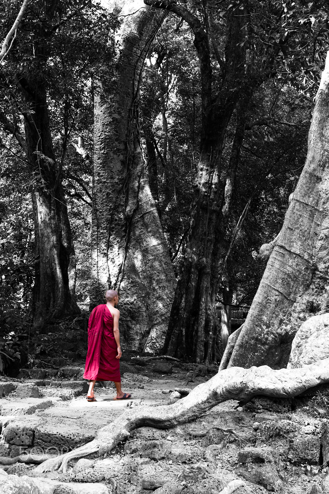 Nikon D7200 sample photo. Robes photography