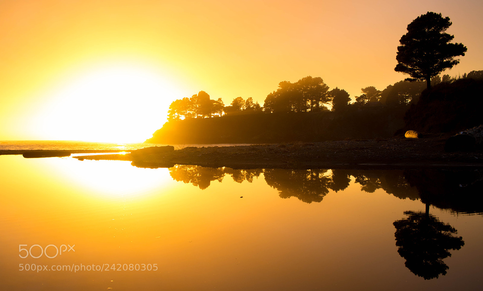 Canon EOS 7D Mark II sample photo. Ca sunset photography