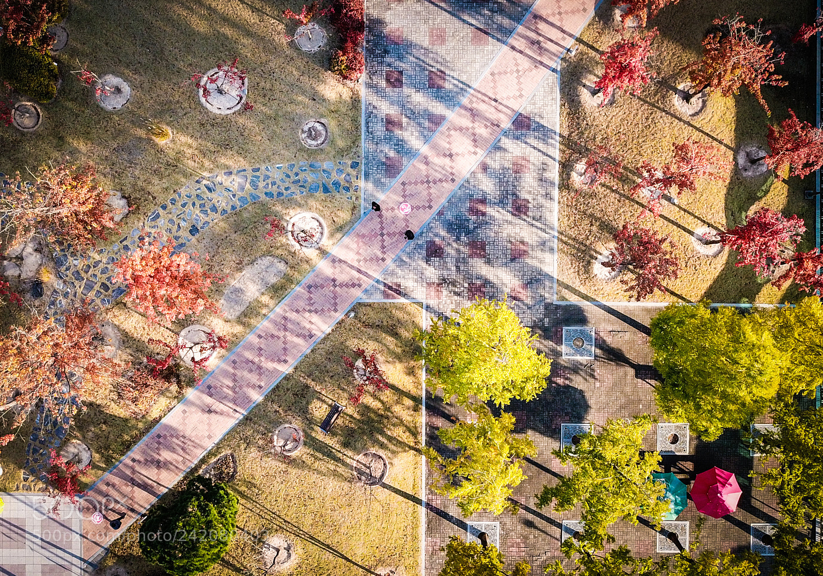 DJI FC220 sample photo. The long shadow of photography