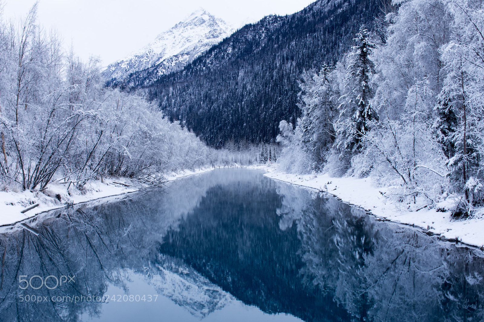 Nikon D7200 sample photo. Beautiful cold calm photography