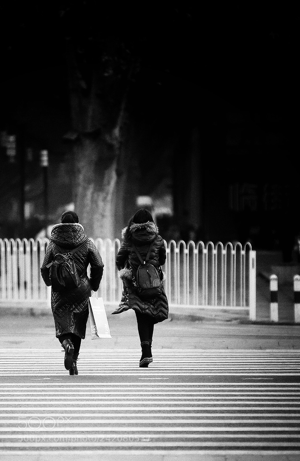 Canon EOS 6D Mark II sample photo. 两个人的斑马线 photography