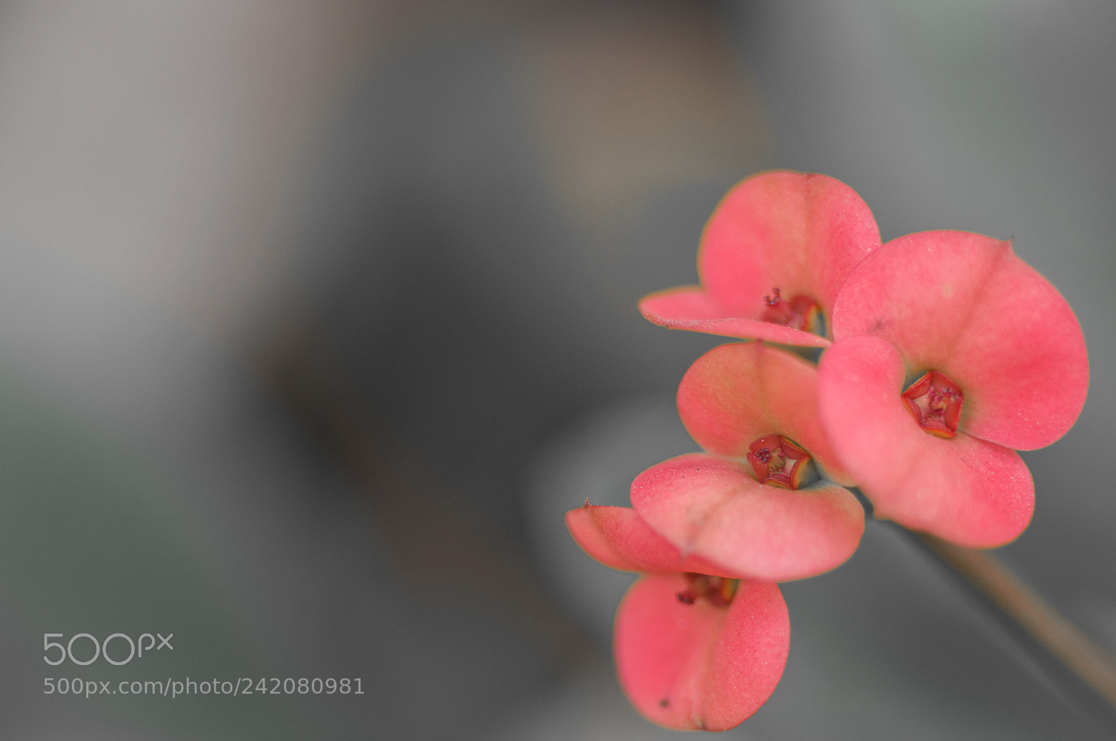 Nikon D90 sample photo. You can take away photography