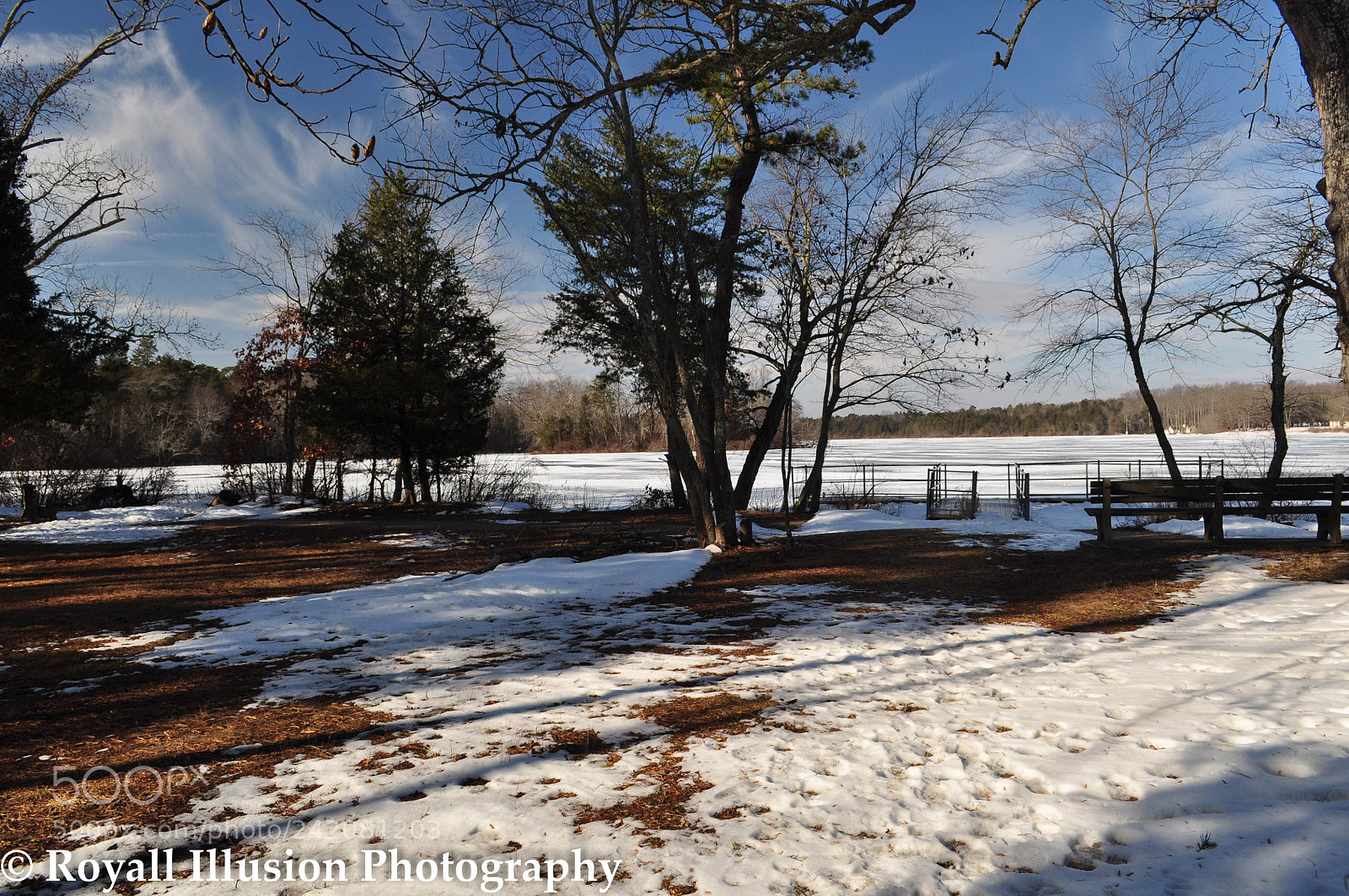 Nikon D5000 sample photo. Parvin state park 2018 photography