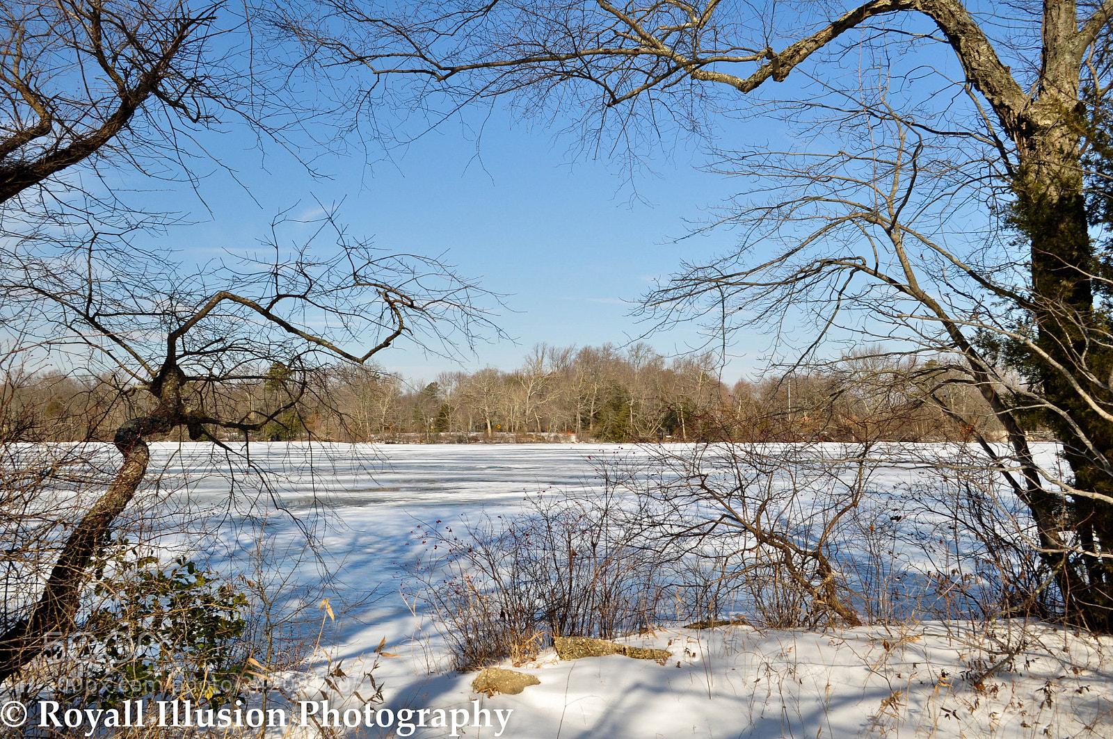 Nikon D5000 sample photo. Parvin winter 2018 photography