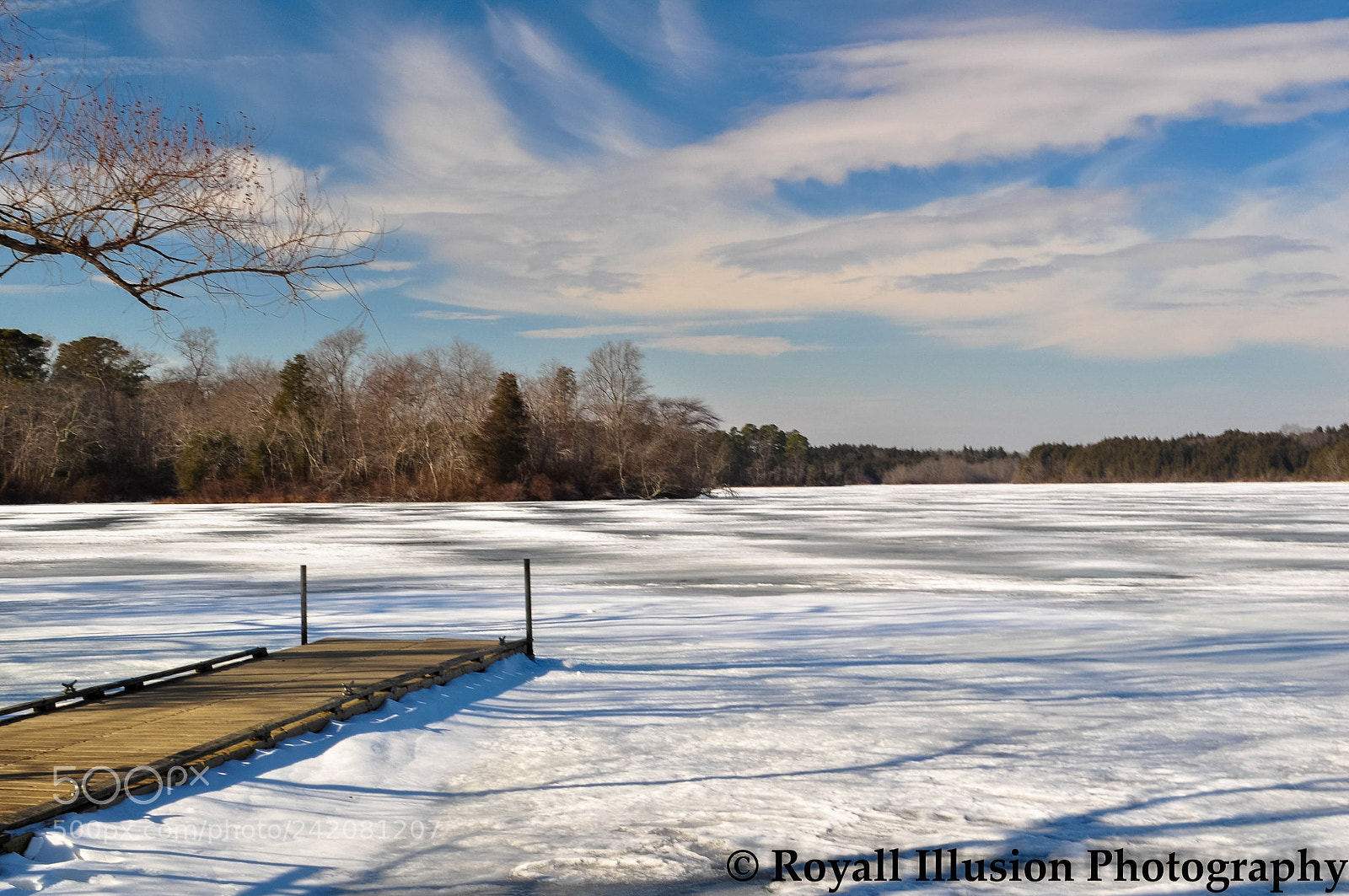 Nikon D5000 sample photo. Parvin state park photography
