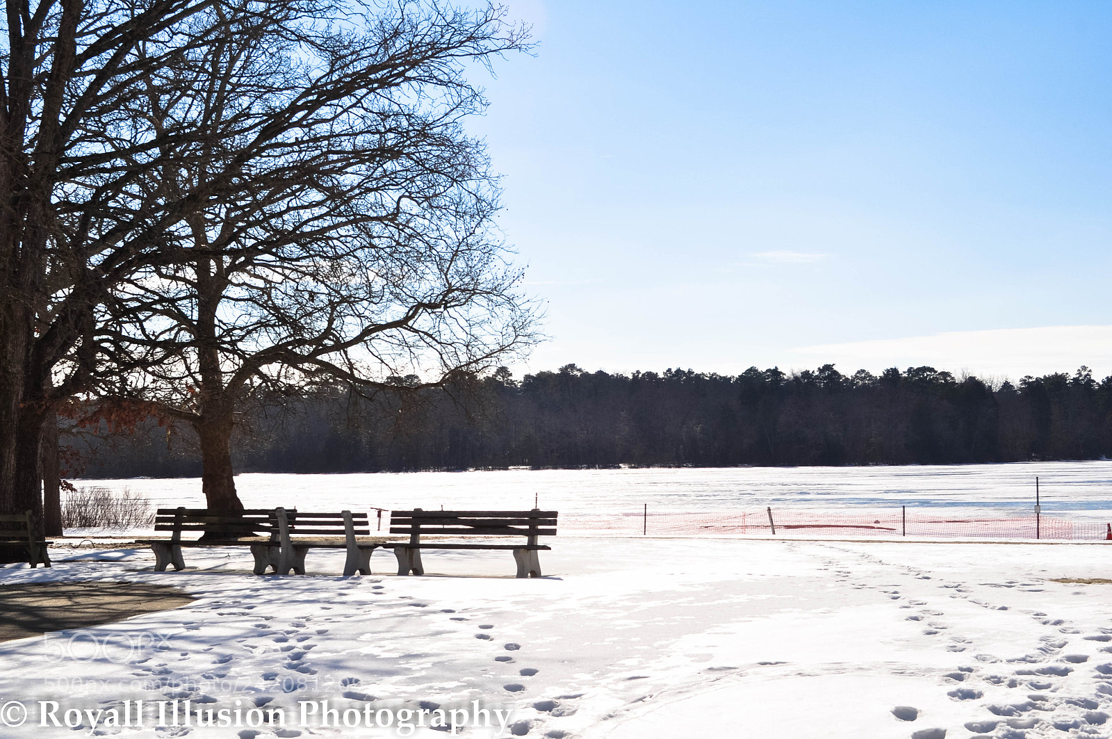 Nikon D5000 sample photo. Parvin state park 2018 photography