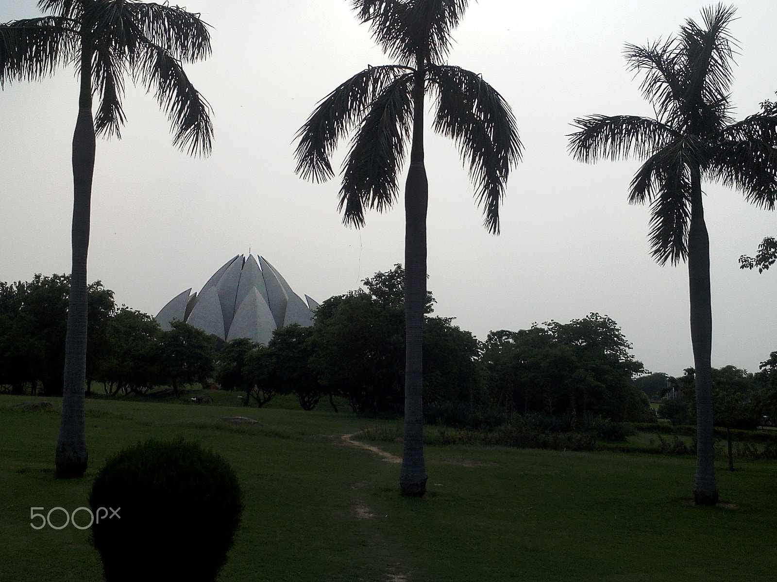 vivo Y15S sample photo. Lotus temple photography