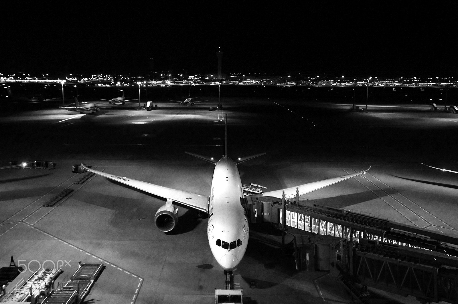 Pentax K-x sample photo. Preparing to fly photography
