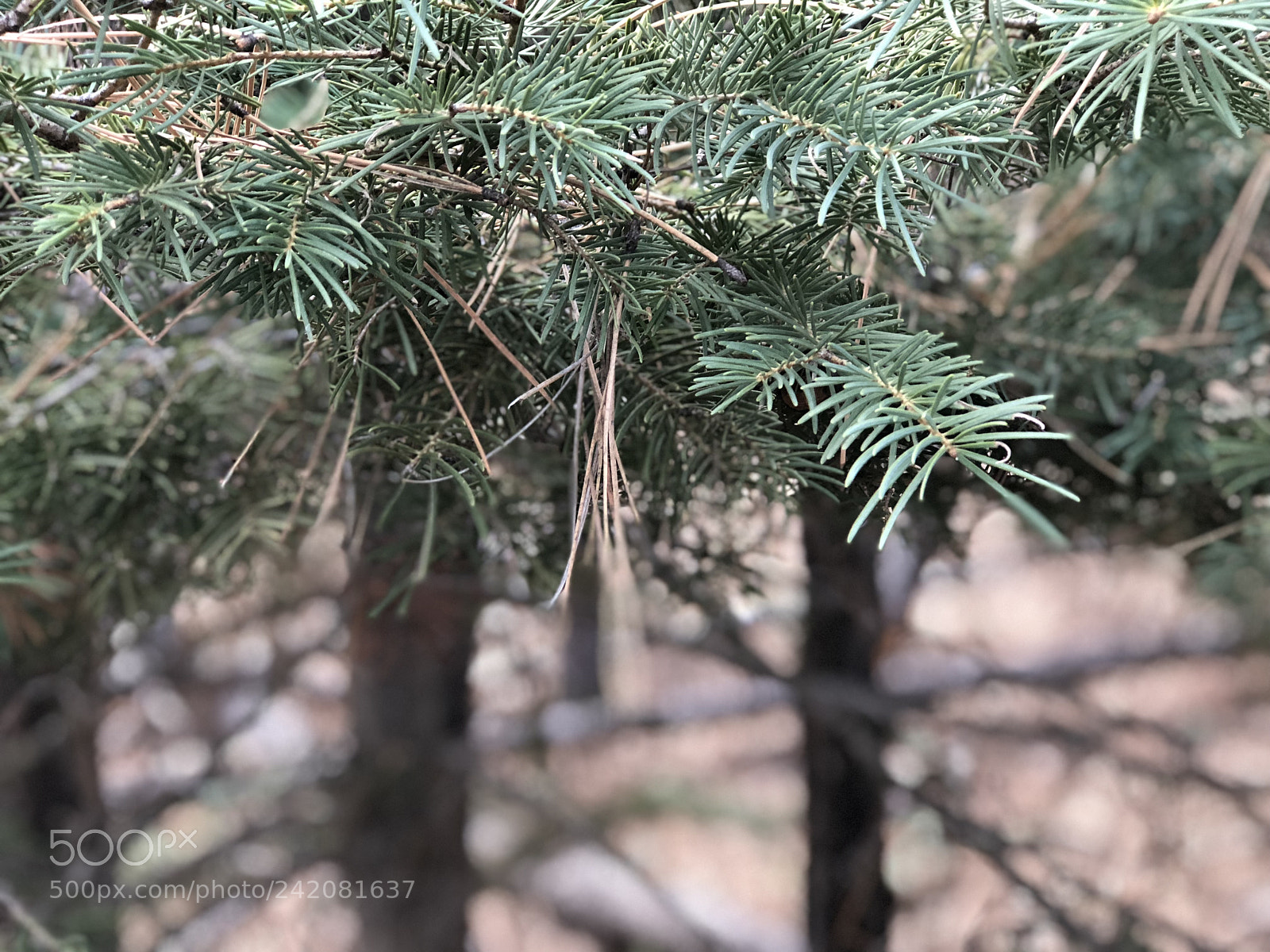 Apple iPhone 8 Plus sample photo. Take a shelter in photography
