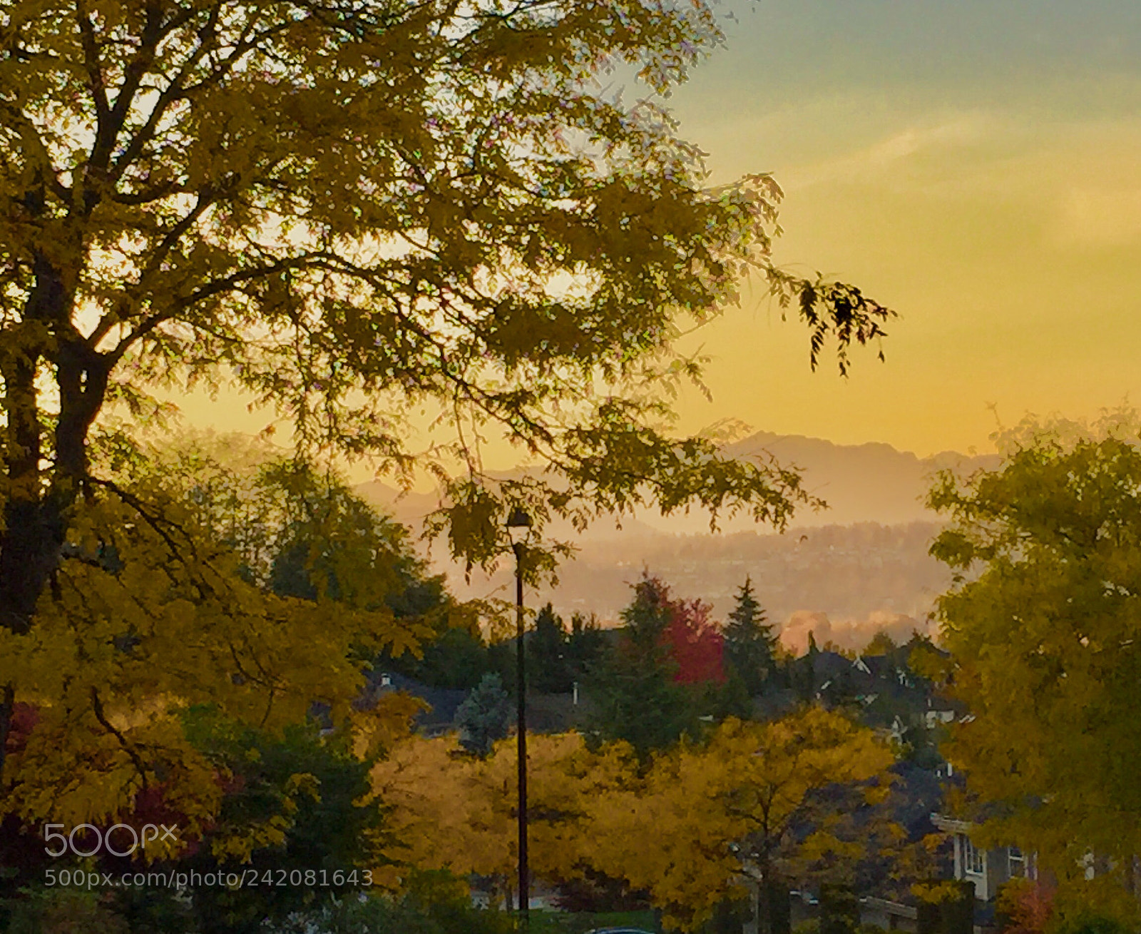 Apple iPhone 6 sample photo. Dawn in the fall photography