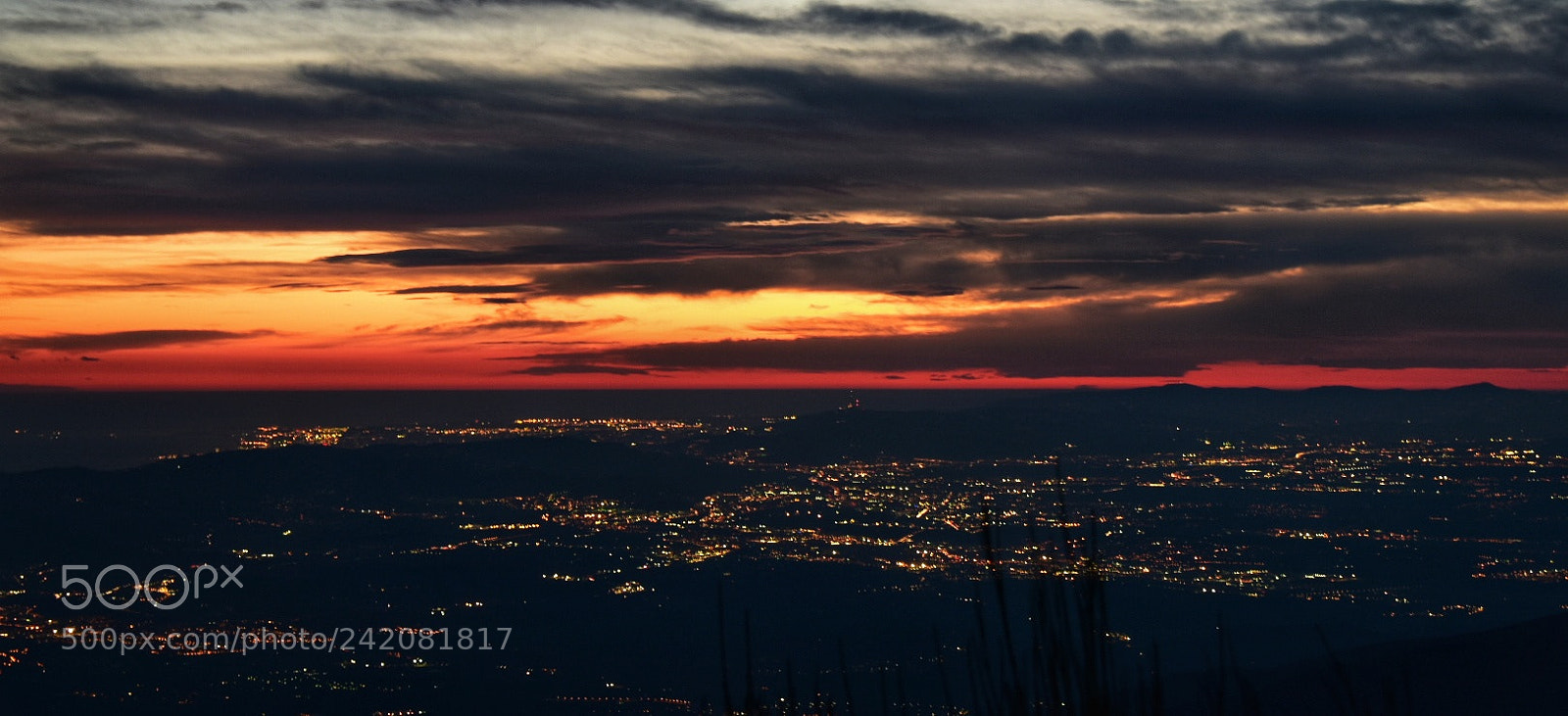 Nikon D5600 sample photo. Untitled photography