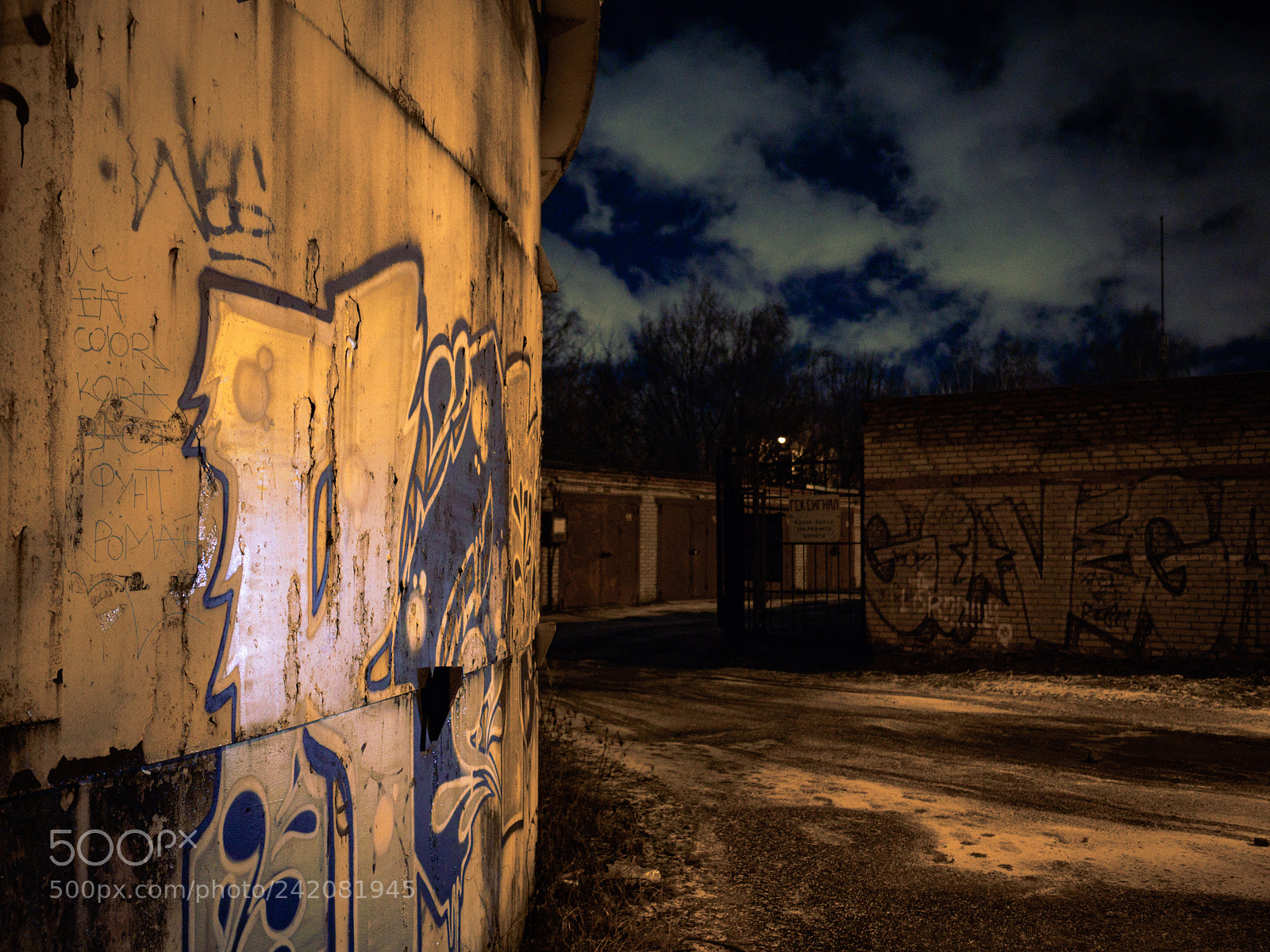 Olympus OM-D E-M10 sample photo. Wall of vain photography