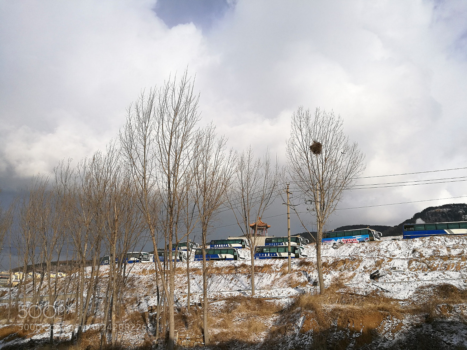 HUAWEI Honor 8 sample photo. Untitled photography
