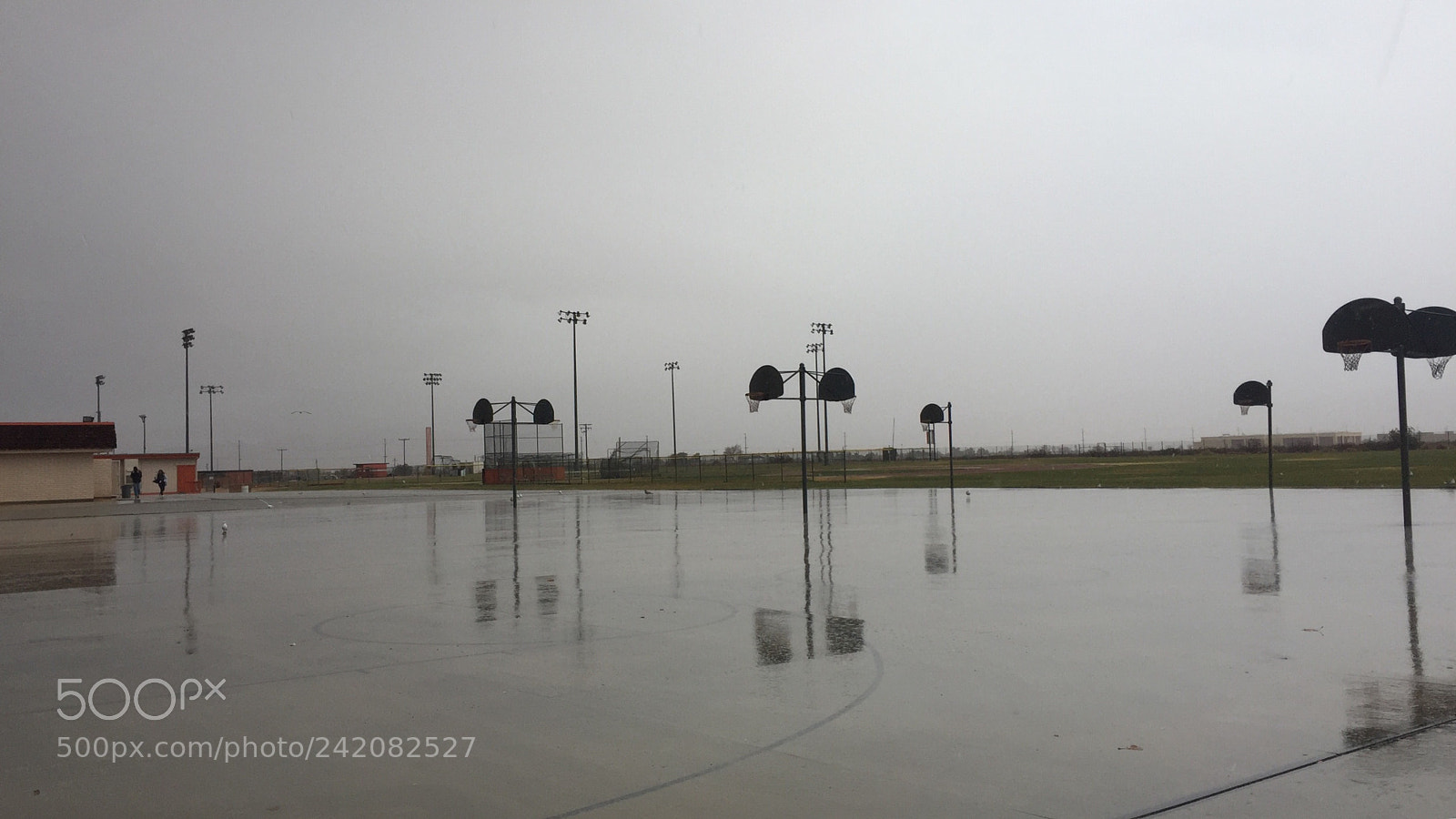 Apple iPhone 6 sample photo. I love rainy days photography