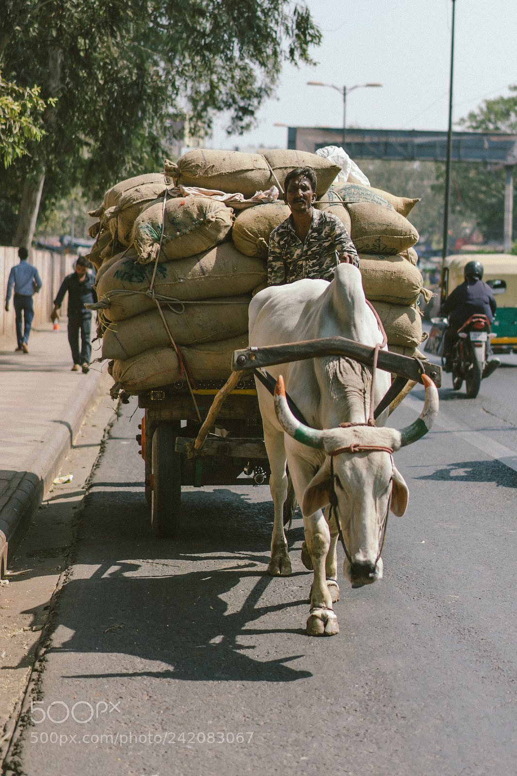 Sony a7 II sample photo. Delhi photography