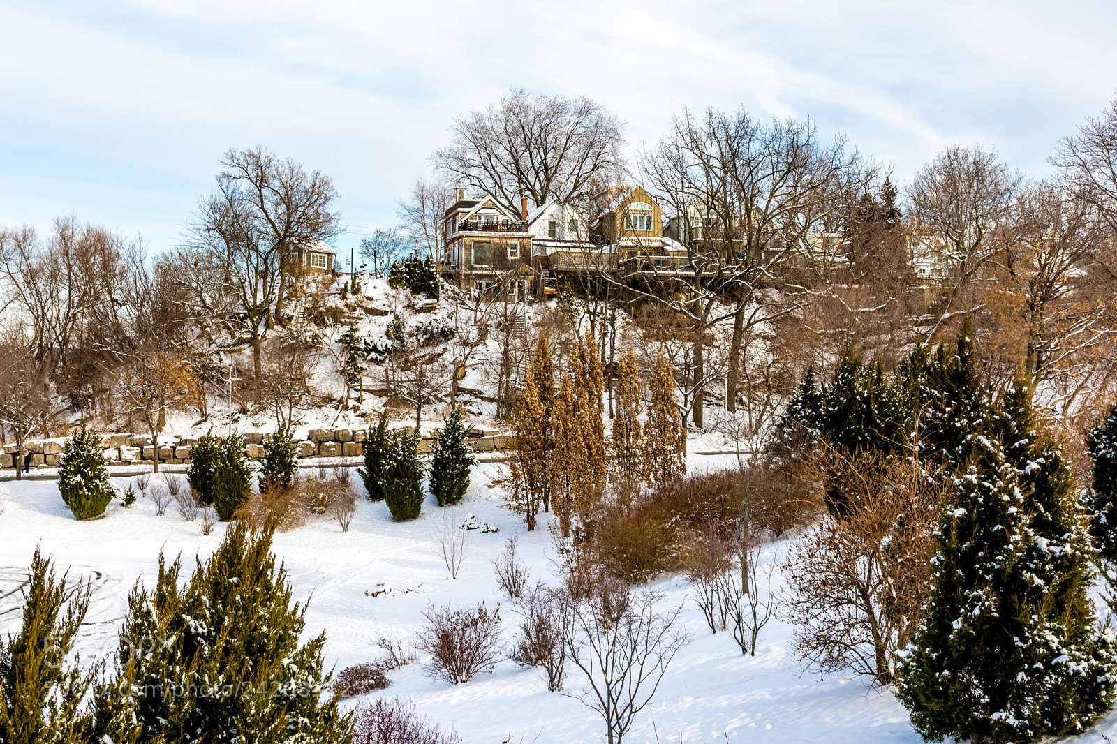 Nikon D7200 sample photo. Winter 2 photography