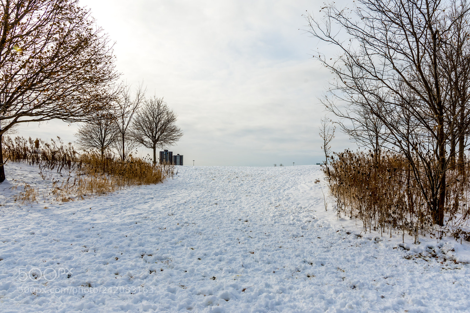 Nikon D7200 sample photo. Winter 3 photography