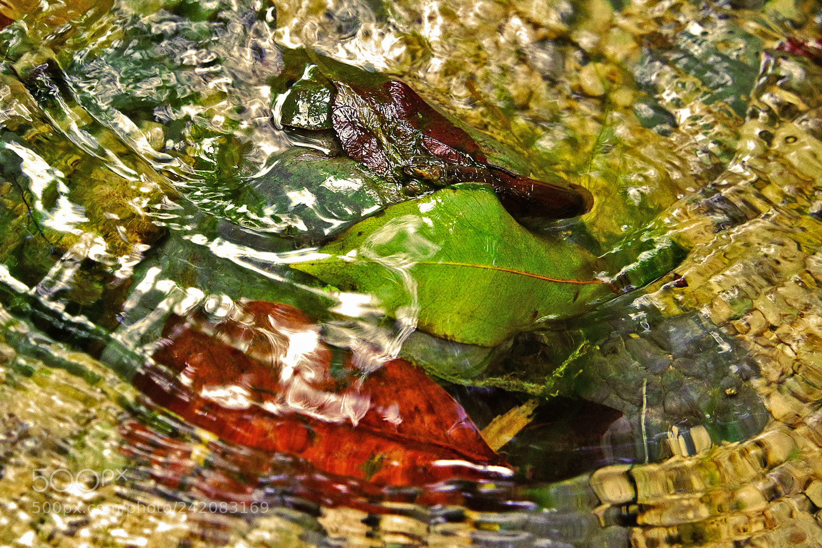 Samsung NX3000 sample photo. Stream dream photography