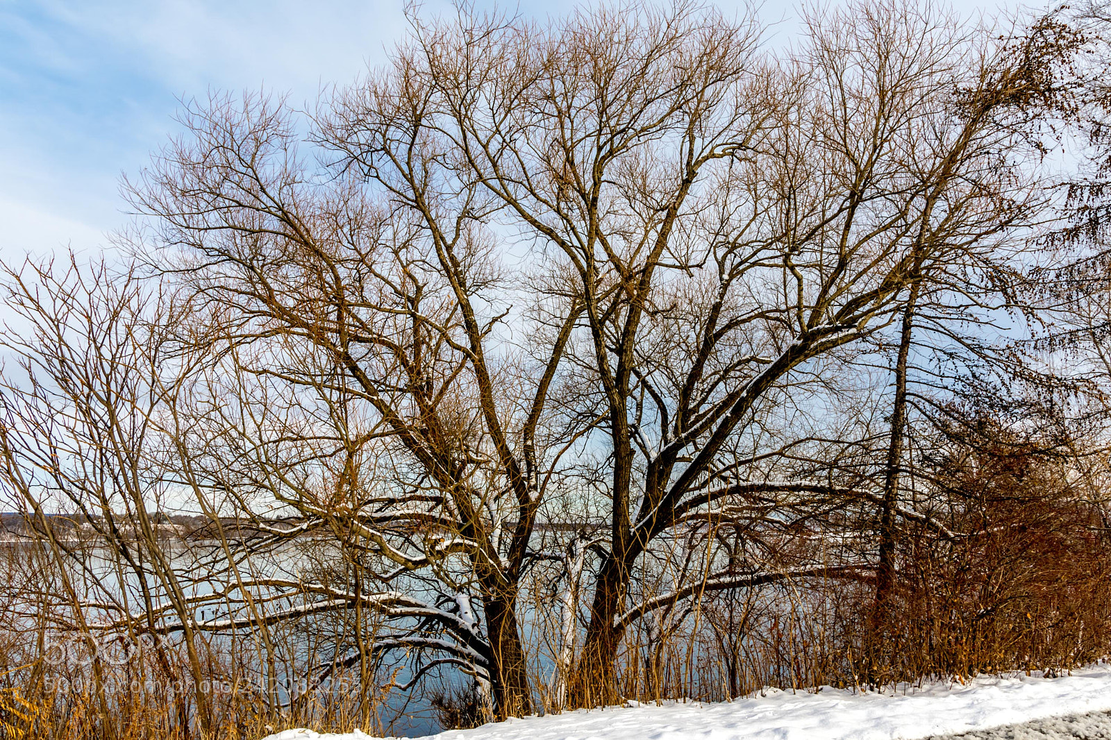 Nikon D7200 sample photo. Winter 5 photography