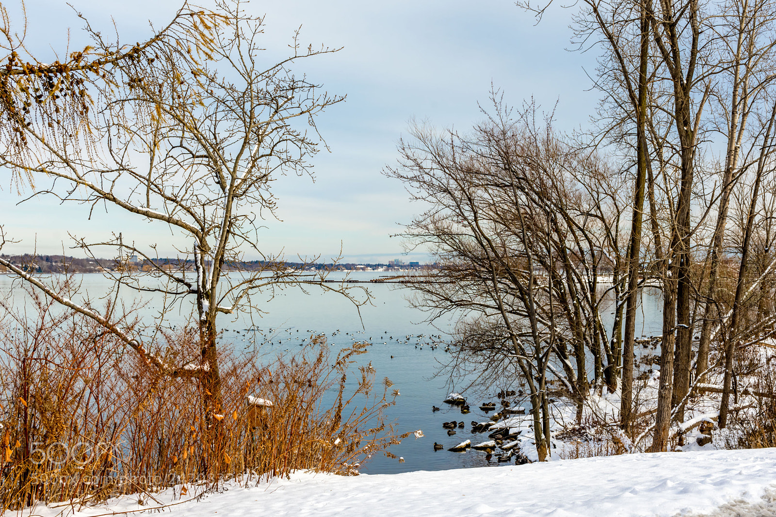 Nikon D7200 sample photo. Winter 6 photography