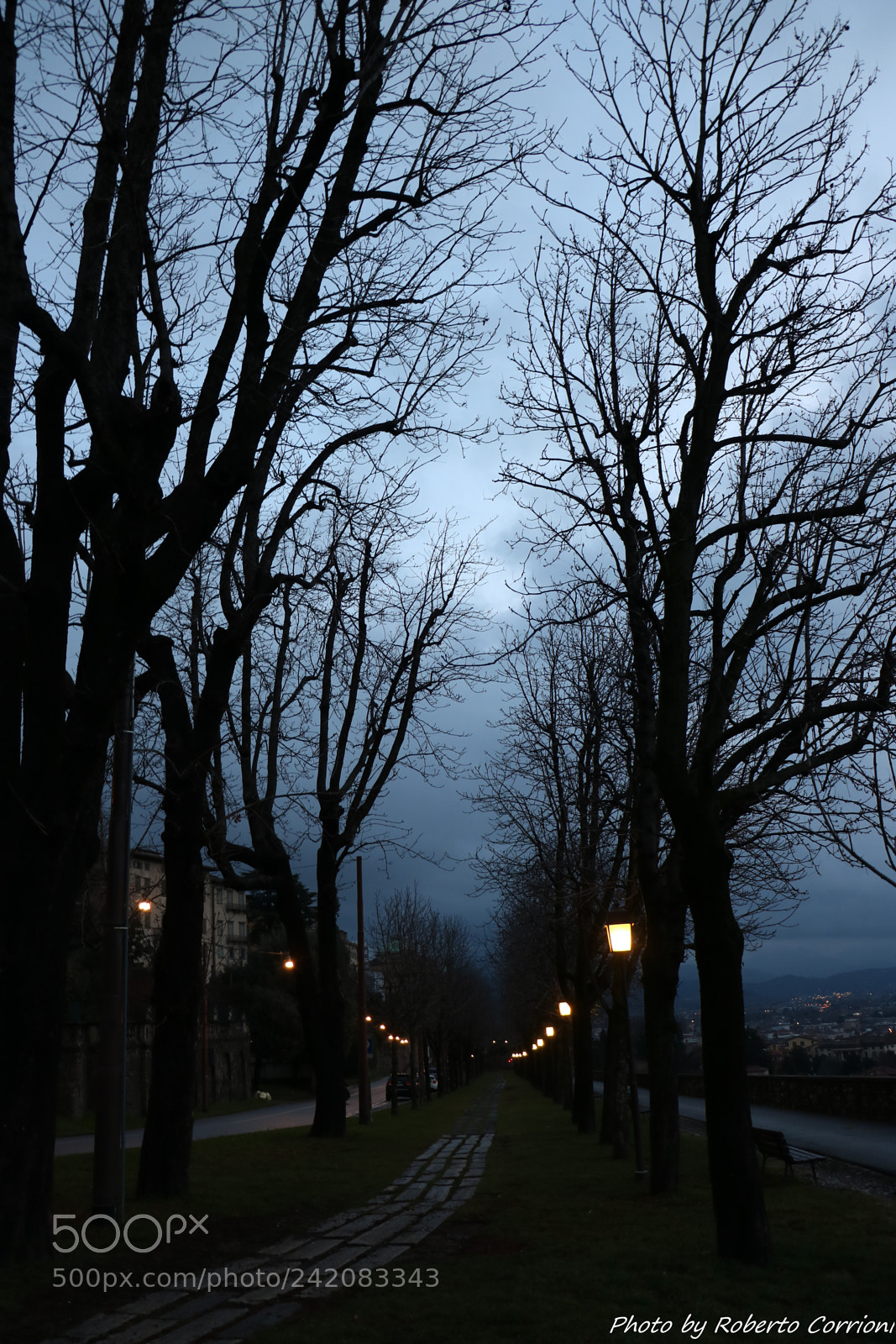 Canon EOS 750D (EOS Rebel T6i / EOS Kiss X8i) sample photo. Brgamo photography