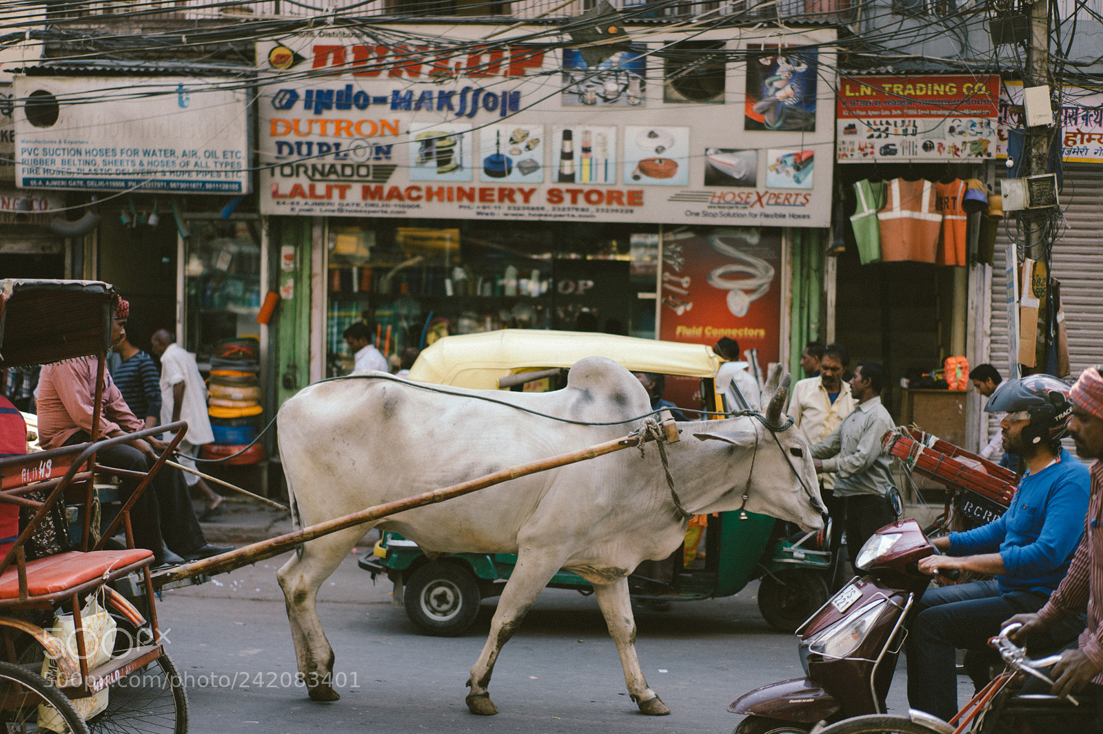 Sony a7 II sample photo. Delhi photography