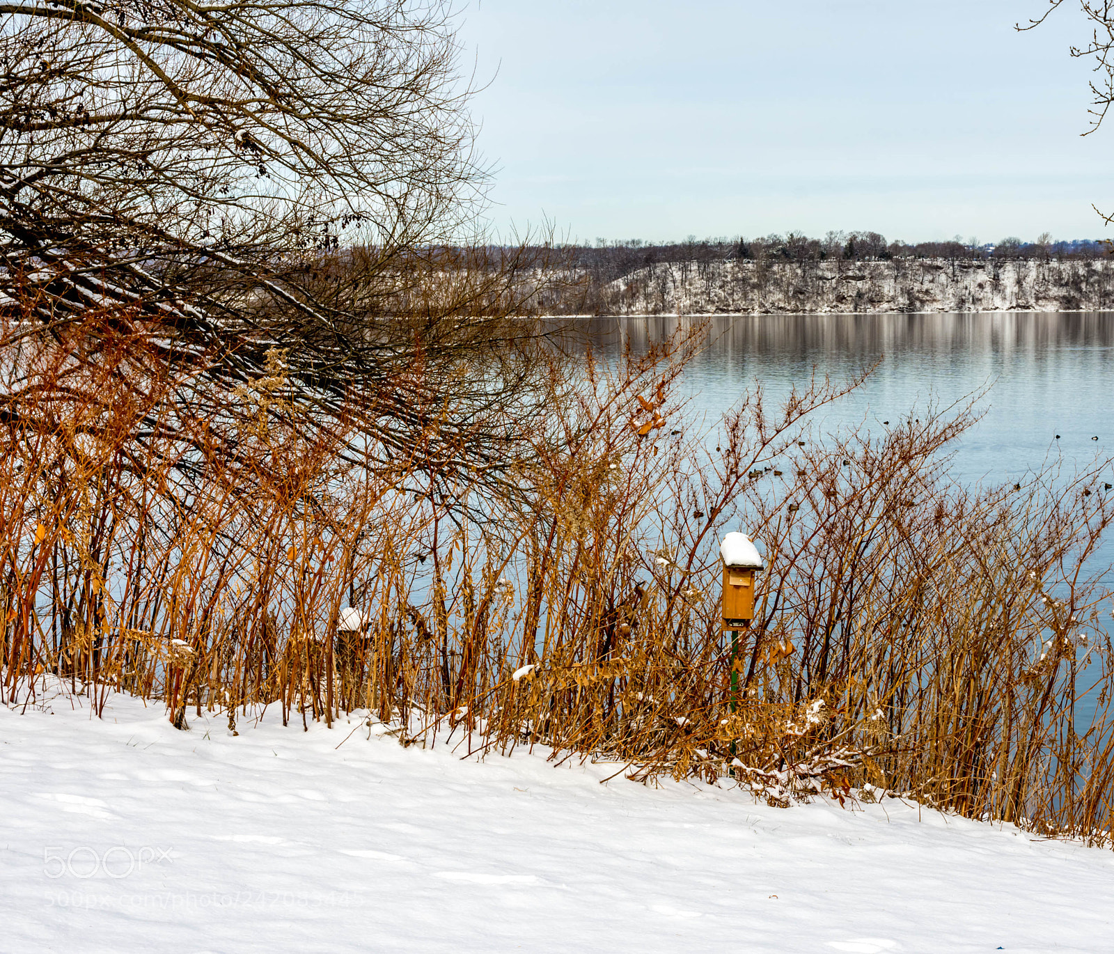 Nikon D7200 sample photo. Seasonal closure photography