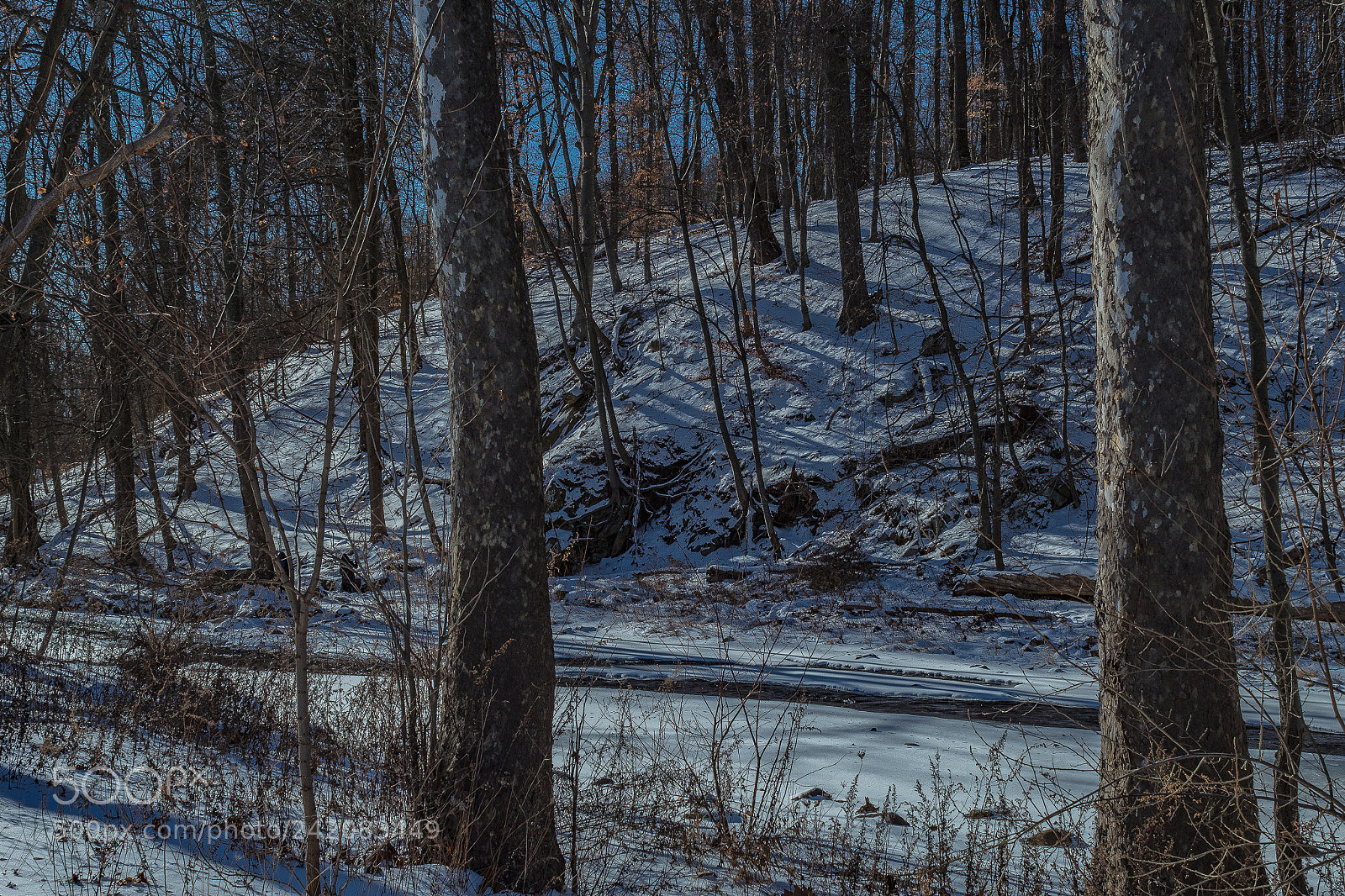Canon EOS 1300D (EOS Rebel T6 / EOS Kiss X80) sample photo. Winter forest photography