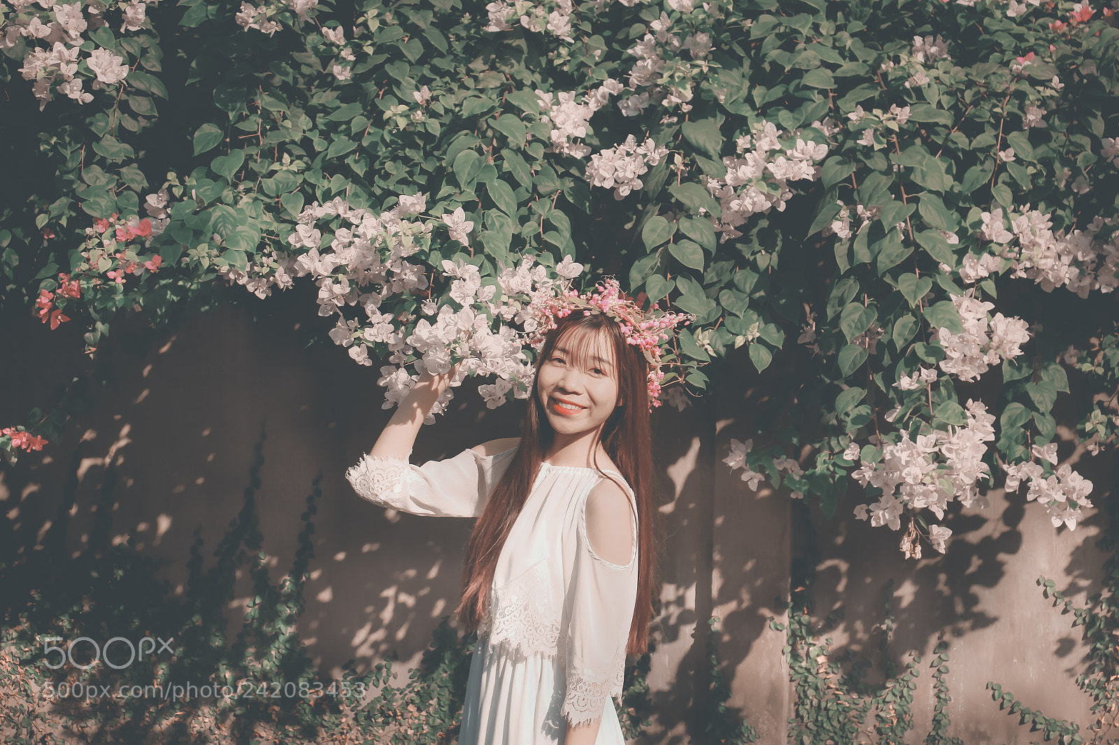Canon EOS 60D sample photo. Bougainvillea glabra garden photography