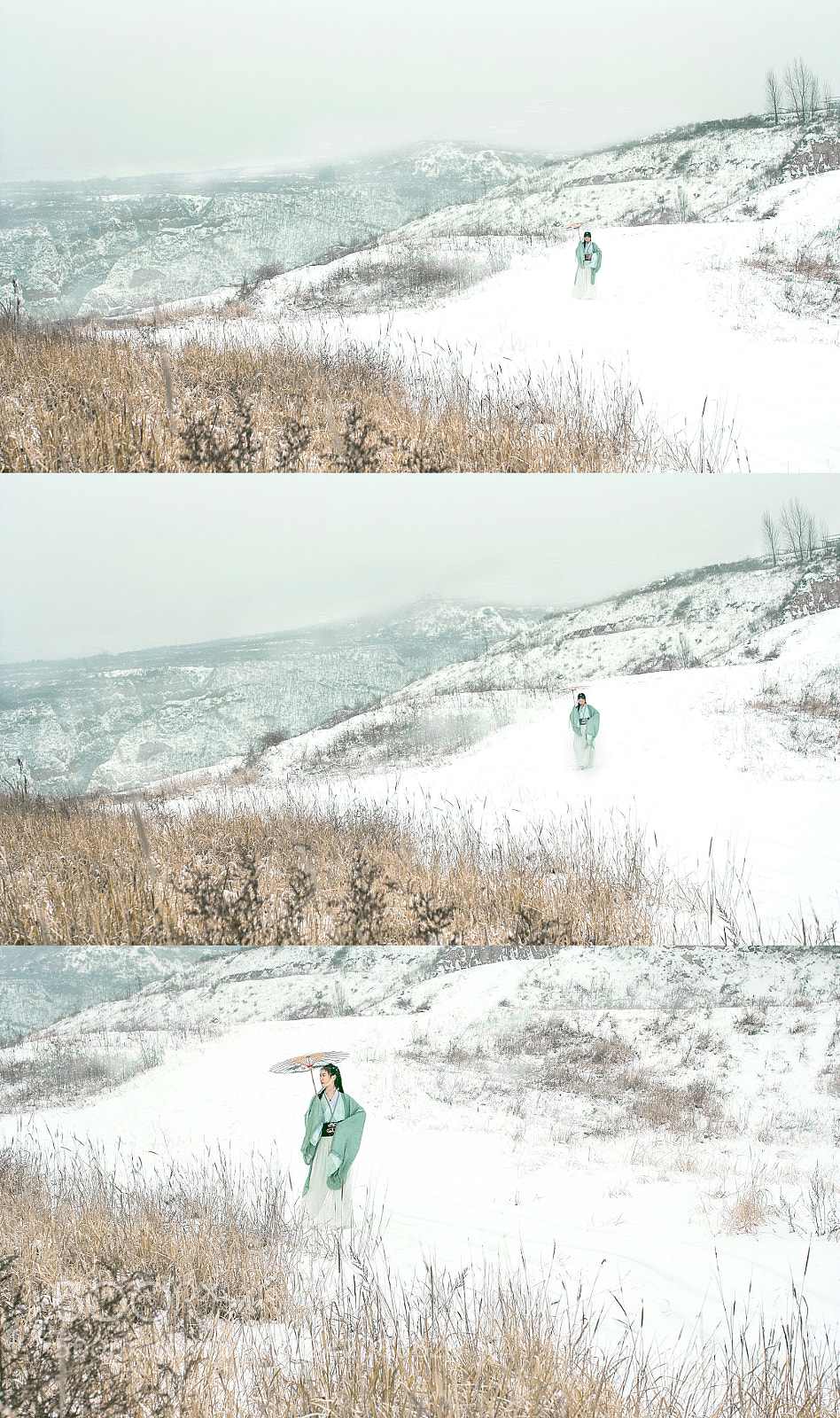 Canon EOS 60D sample photo. 续集 photography