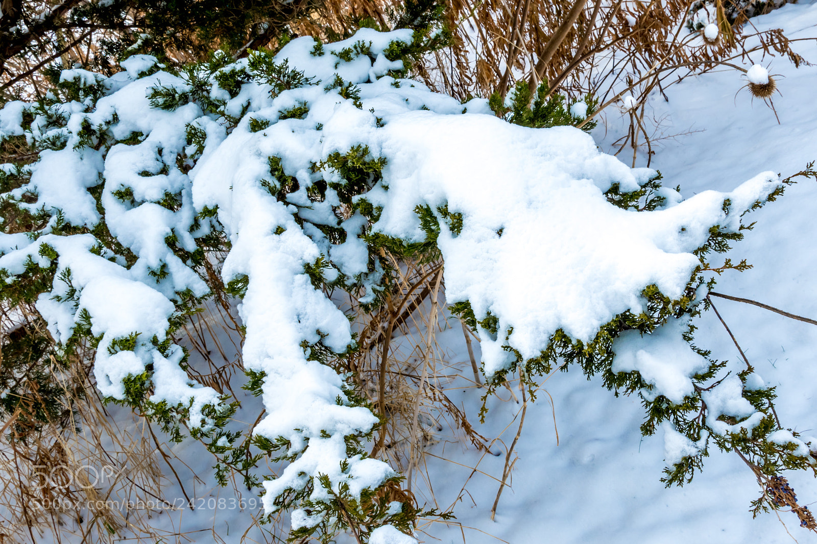 Nikon D7200 sample photo. Winter 9 photography