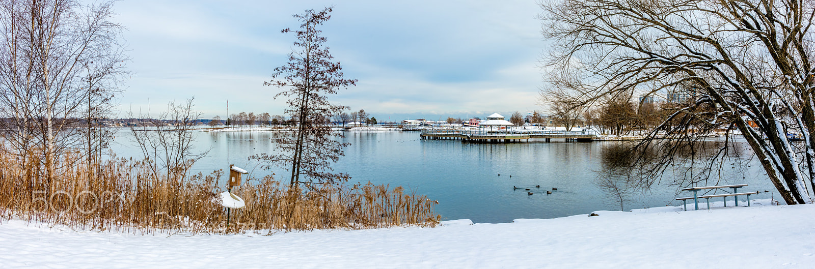 Nikon D7200 sample photo. Winter 10 photography