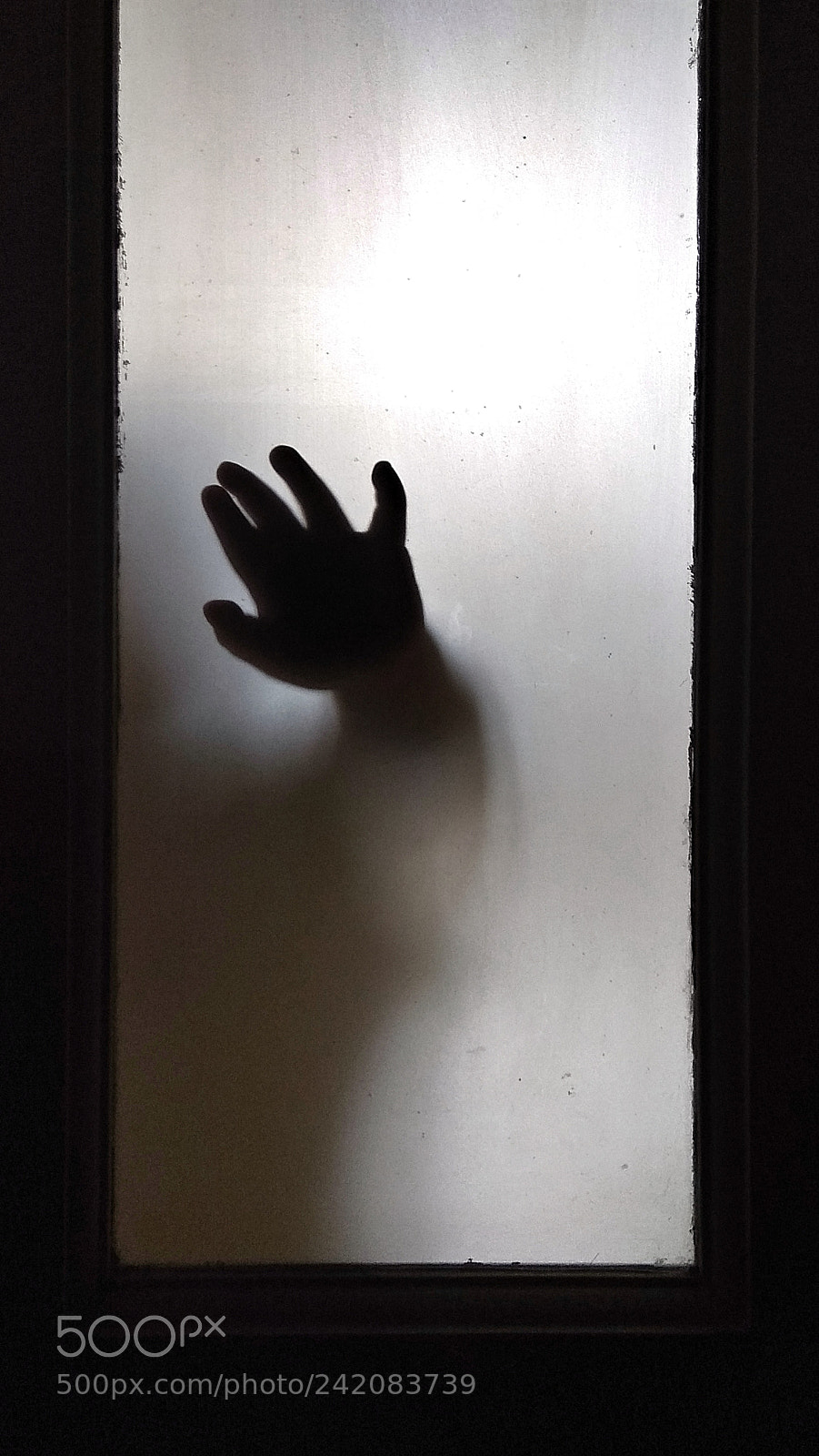 Xiaomi Redmi Note 4X sample photo. Hand! photography