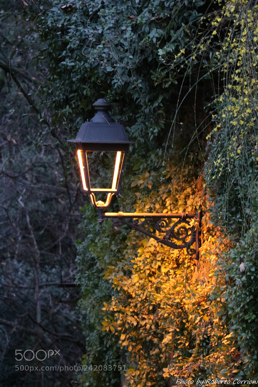 Canon EOS 750D (EOS Rebel T6i / EOS Kiss X8i) sample photo. Brgamo photography