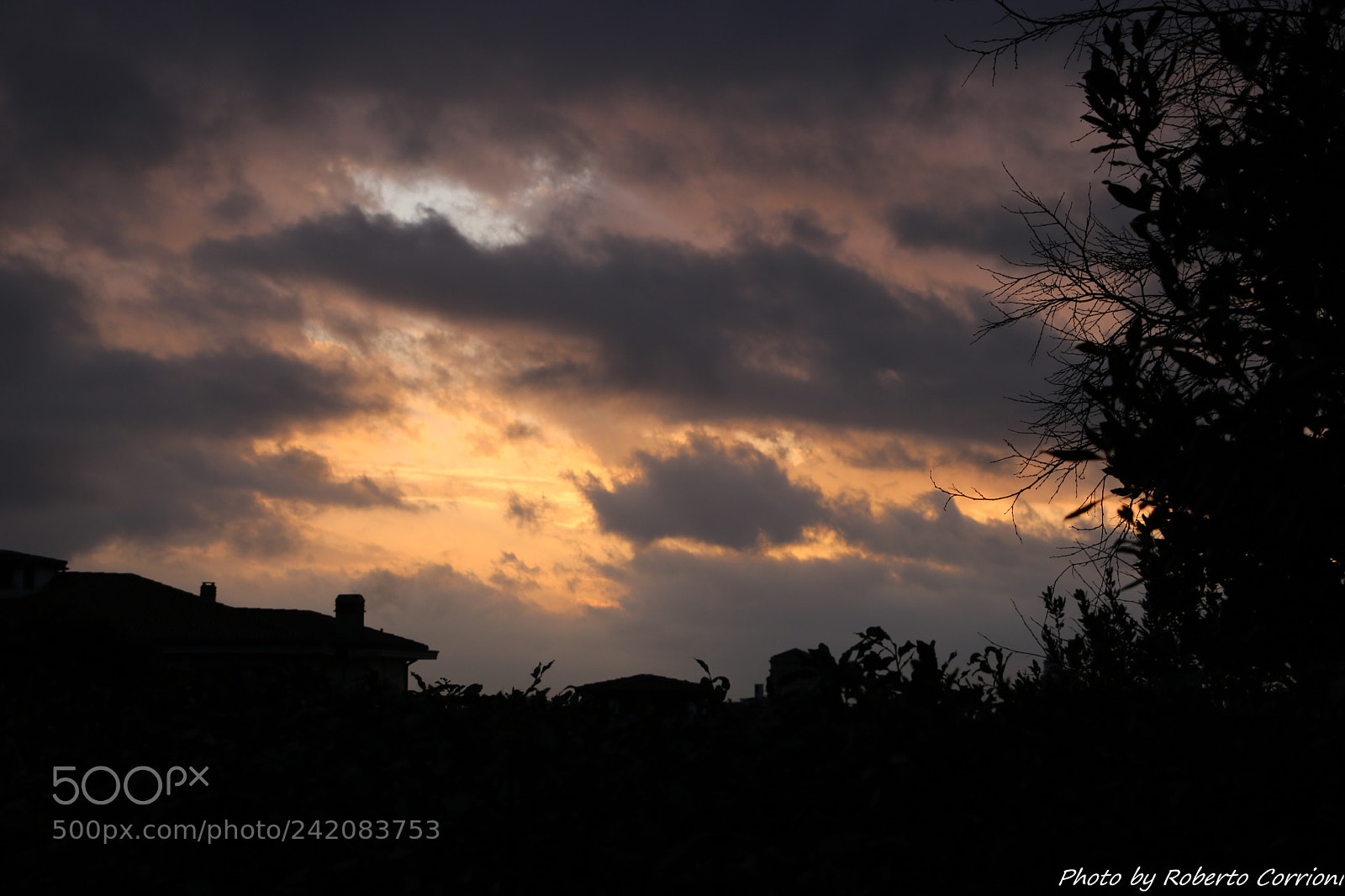 Canon EOS 750D (EOS Rebel T6i / EOS Kiss X8i) sample photo. Brgamo photography