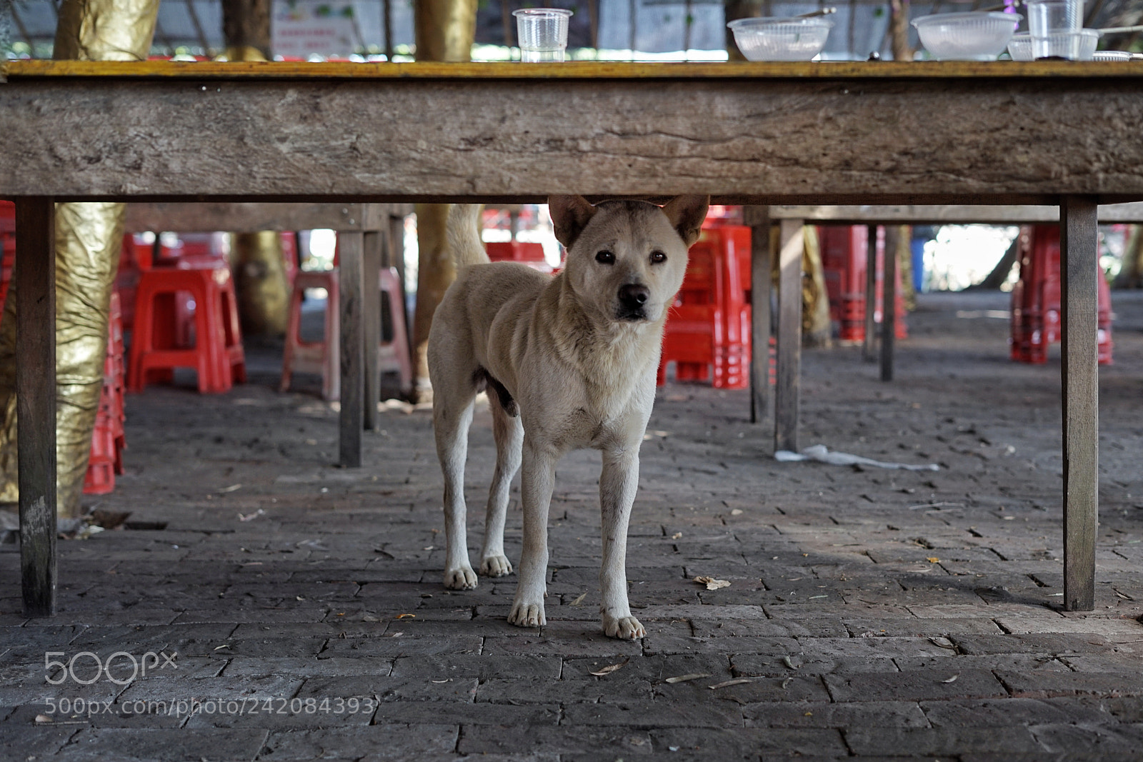 Sony a7 II sample photo. Untitled photography
