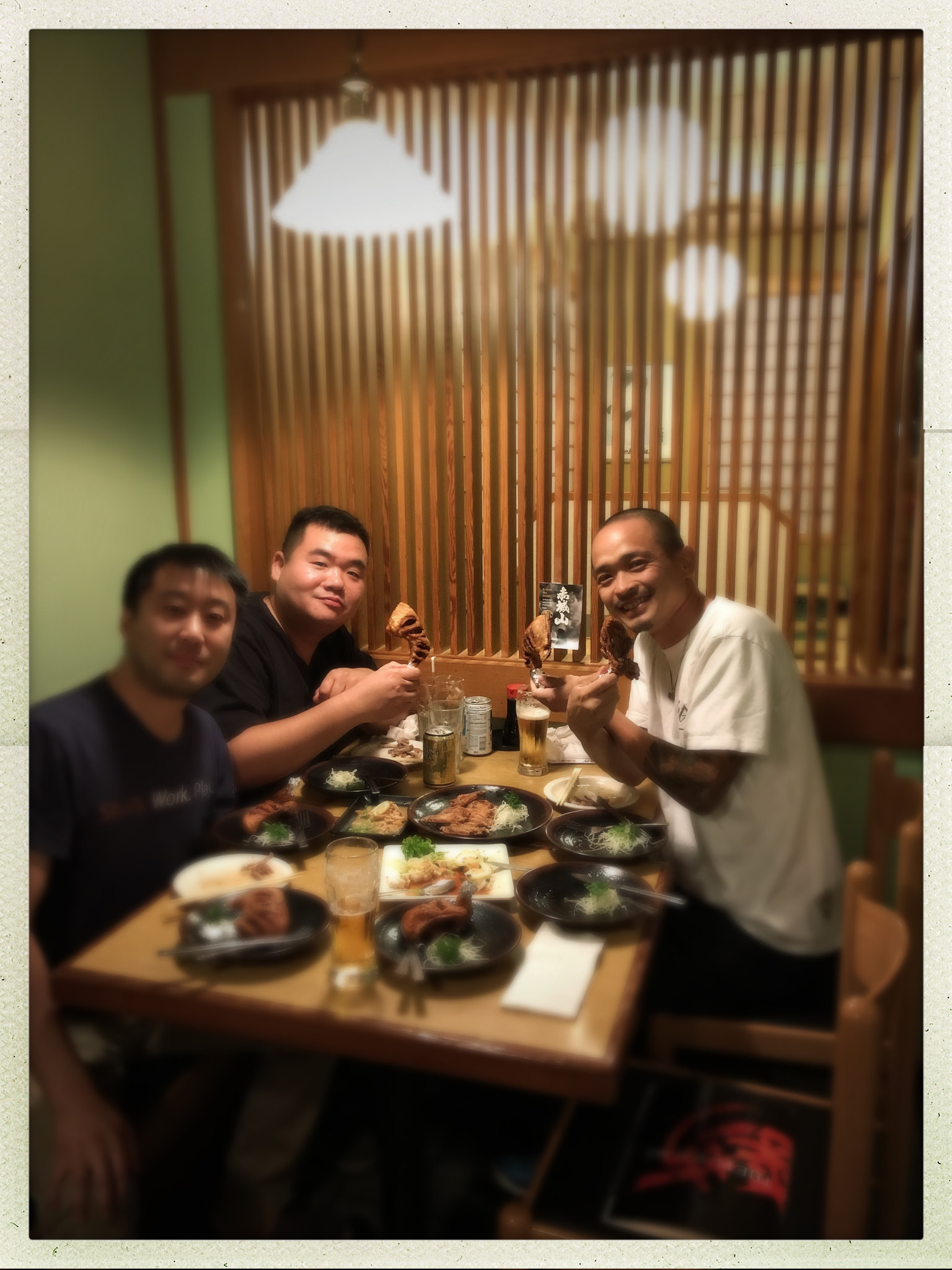 Hipstamatic 339 sample photo. Japanese fried drumsticks la photography