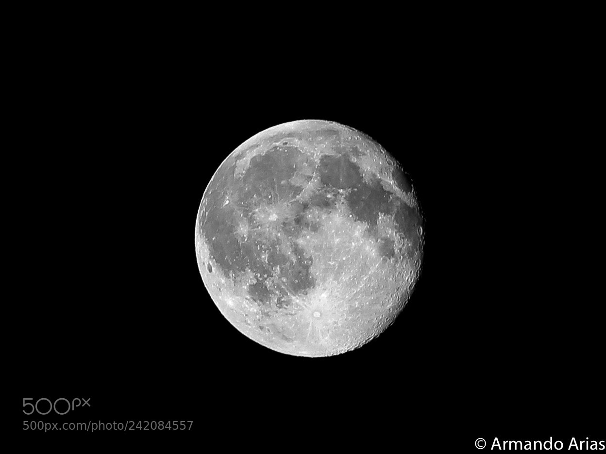 Canon EOS 1300D (EOS Rebel T6 / EOS Kiss X80) sample photo. Luna lunera photography