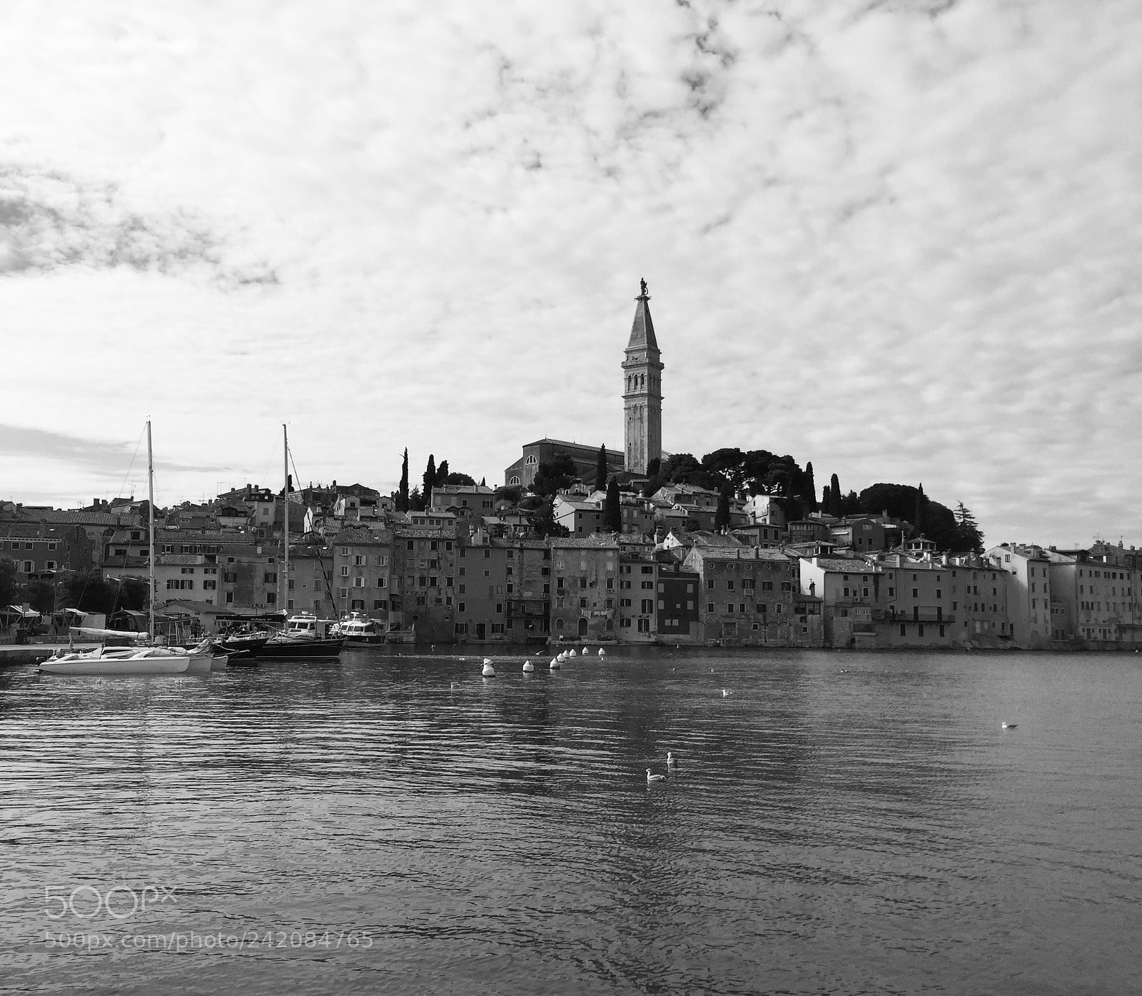 Apple iPhone 6 sample photo. Rovinj, croatia photography