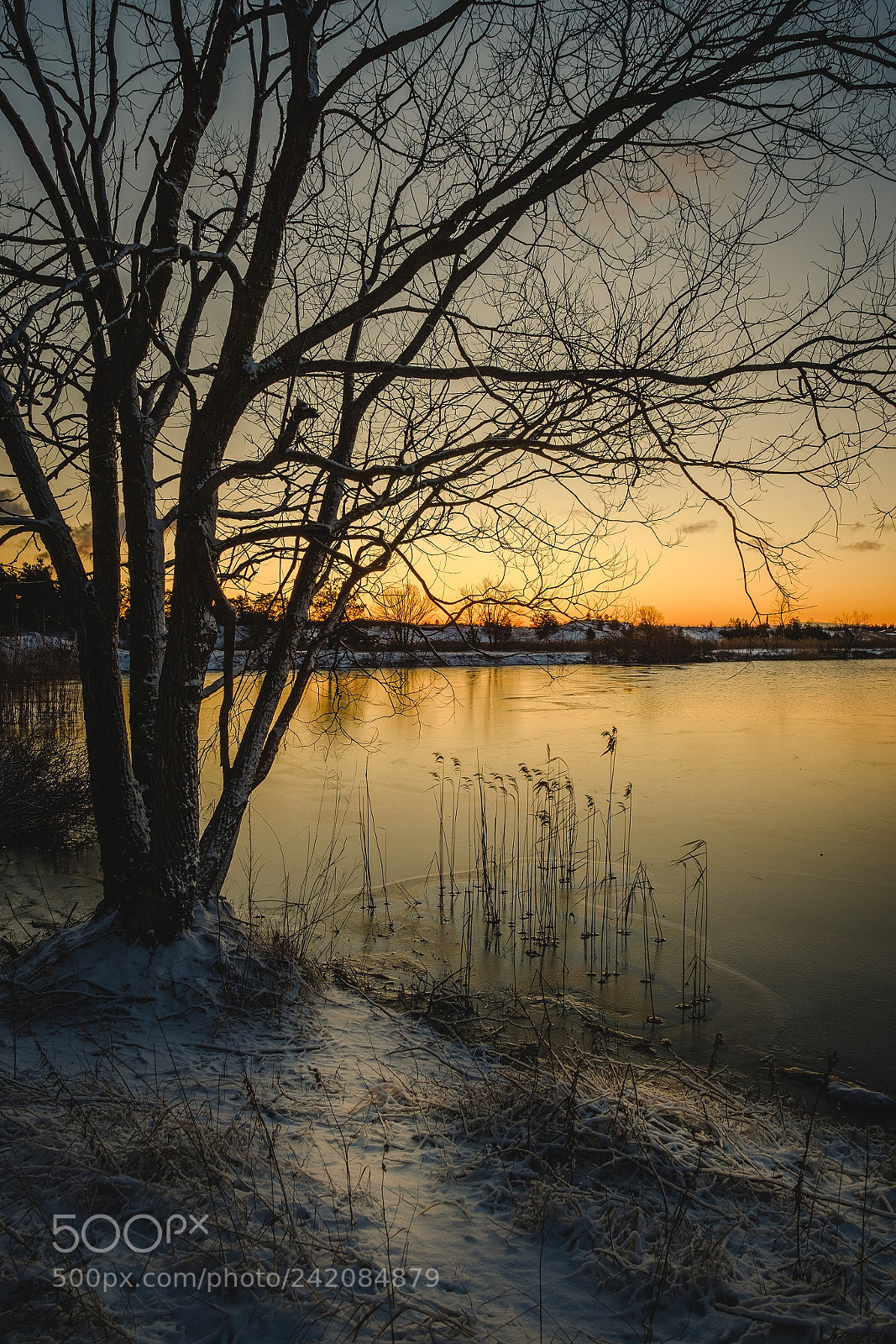 Fujifilm X-T20 sample photo. Morning at an old photography