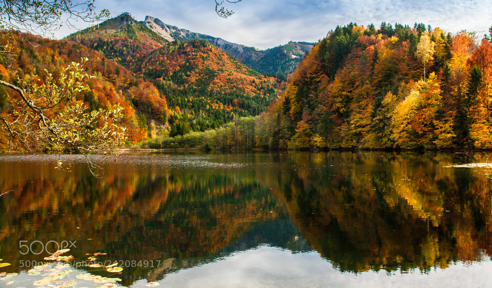 Canon EOS-1Ds Mark III sample photo. Austria forest colours photography