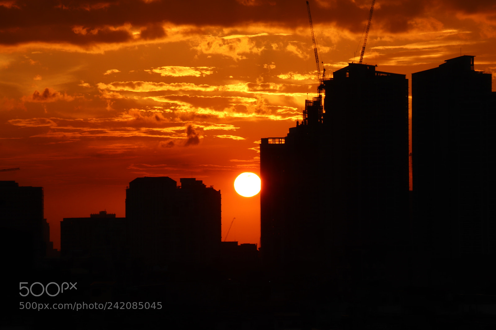 Canon EOS 77D (EOS 9000D / EOS 770D) sample photo. One of the best photography