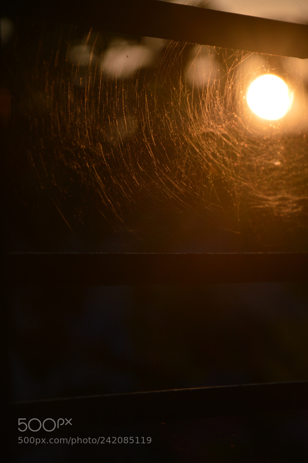 Nikon D3200 sample photo. Untitled photography
