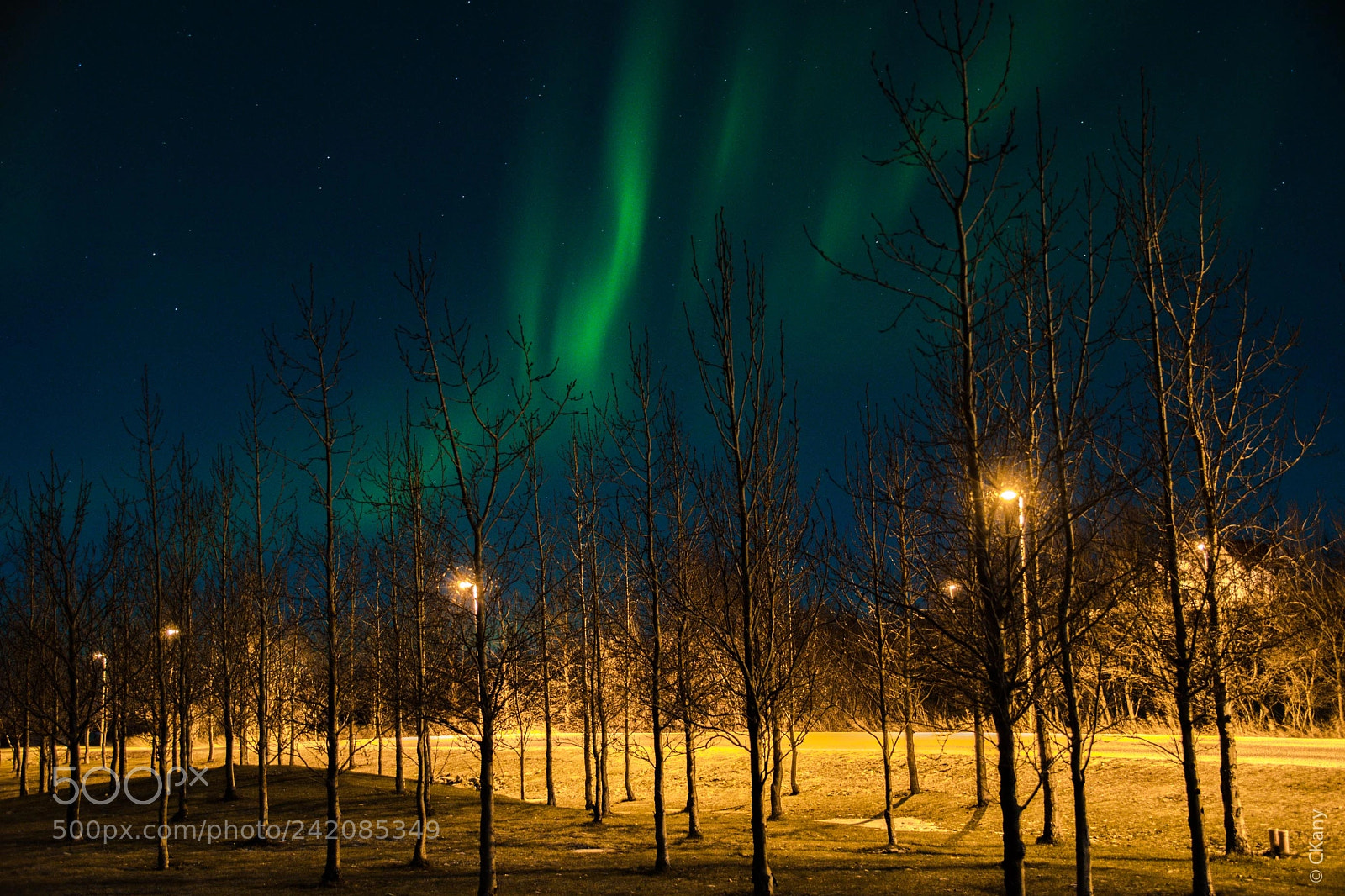 Nikon D7500 sample photo. Aurora borealis street photography