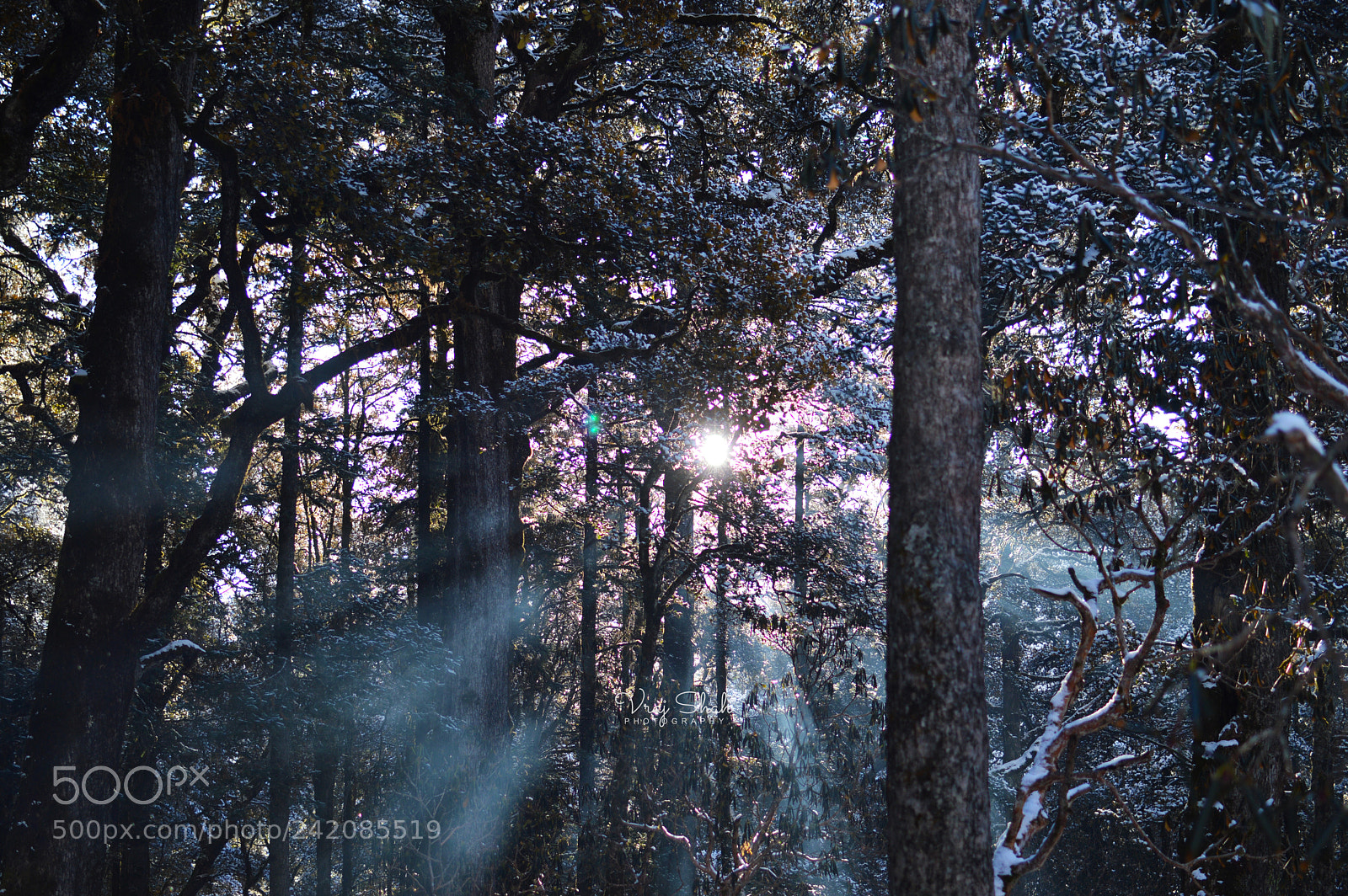 Nikon D3200 sample photo. Mystic sun rays... photography