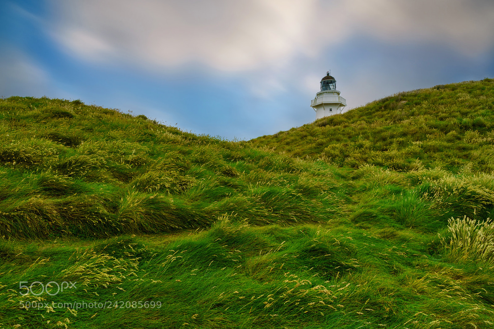 Sony Alpha a99 sample photo. Greenwaves photography