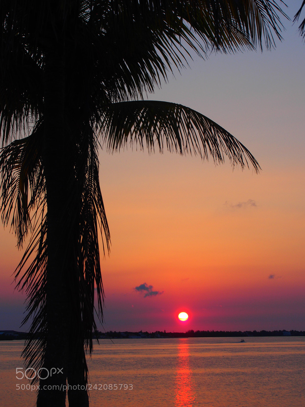 Olympus PEN E-PM2 sample photo. Key west sunset photography