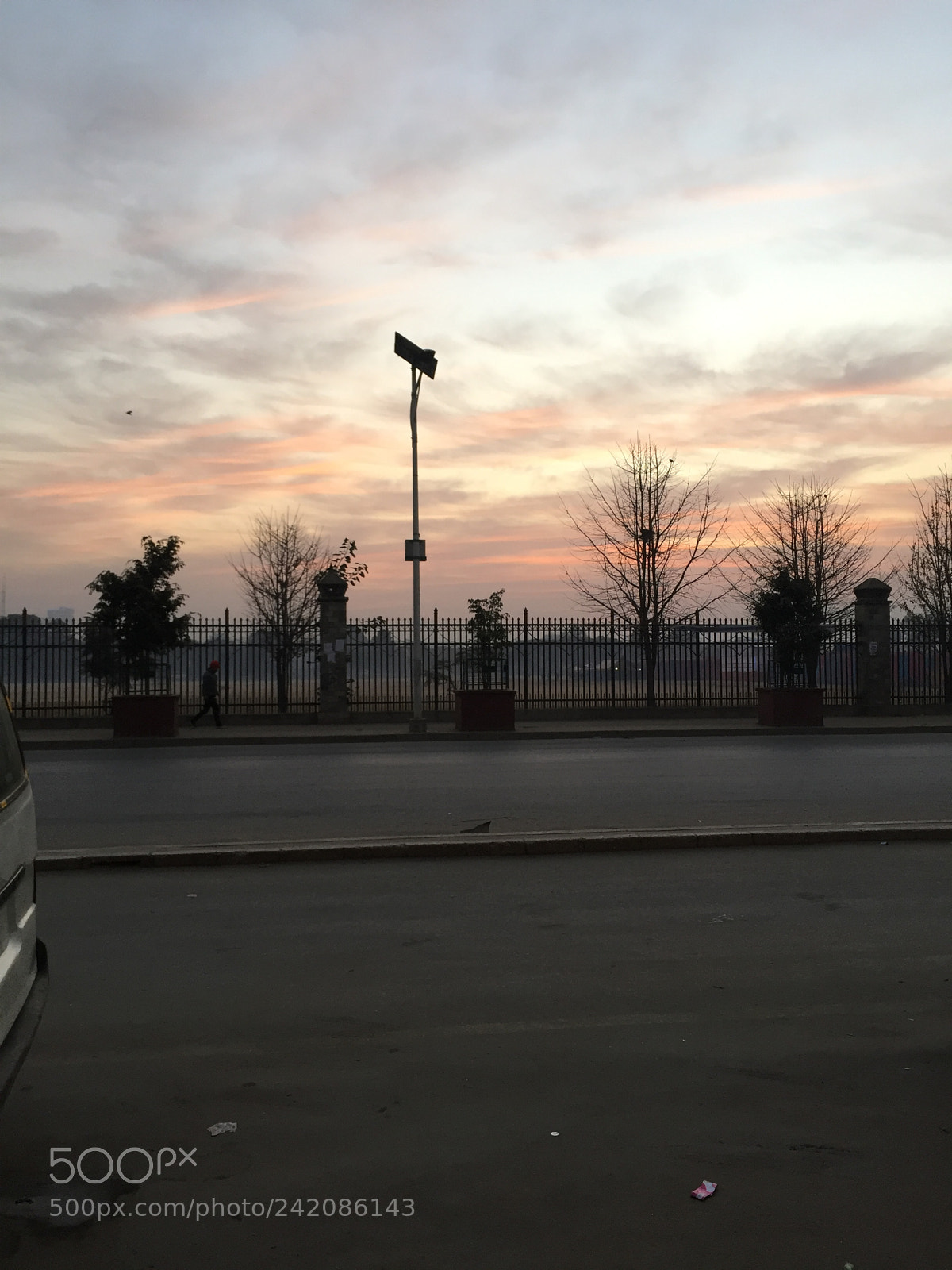 Apple iPhone 6 sample photo. Morning photography