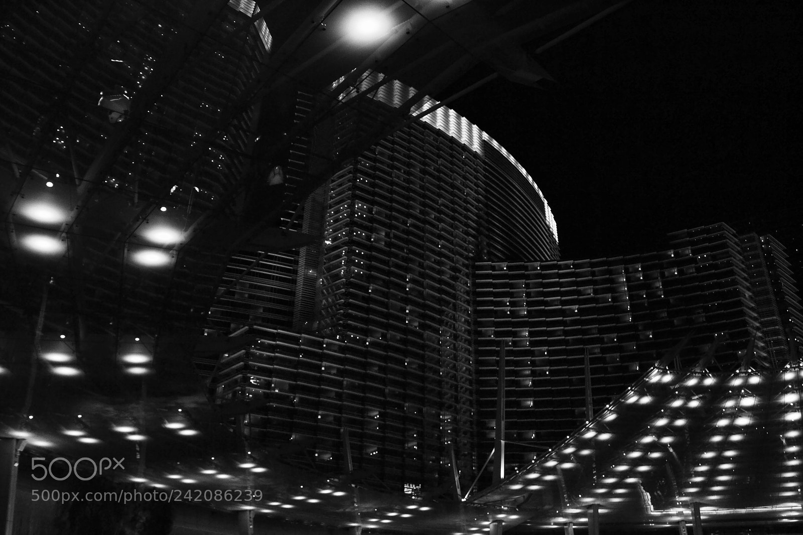 Nikon D3100 sample photo. Monochrome vegas photography